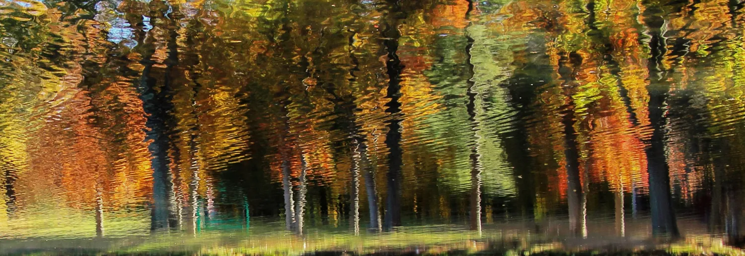 Abstract nature