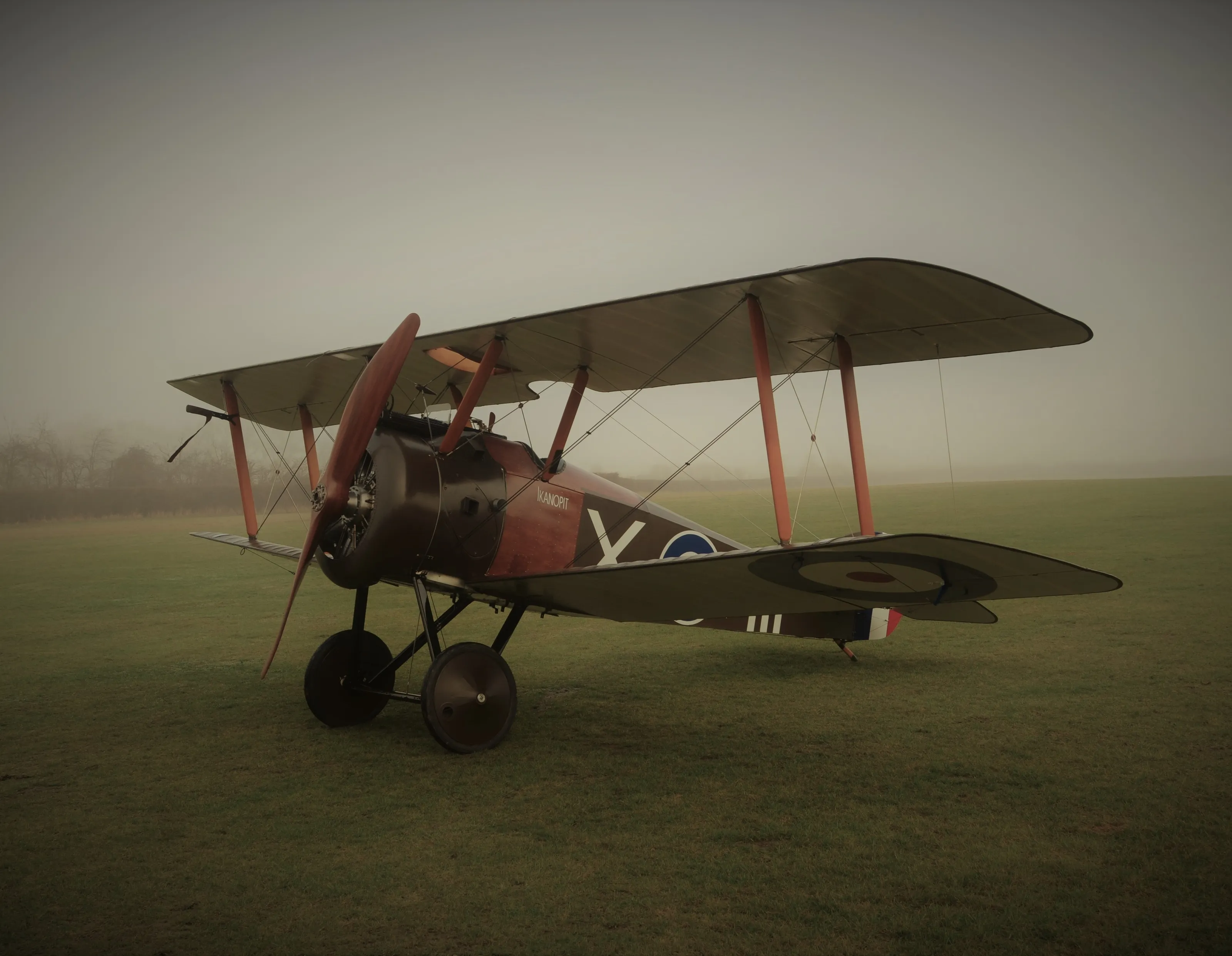 Things with Wings