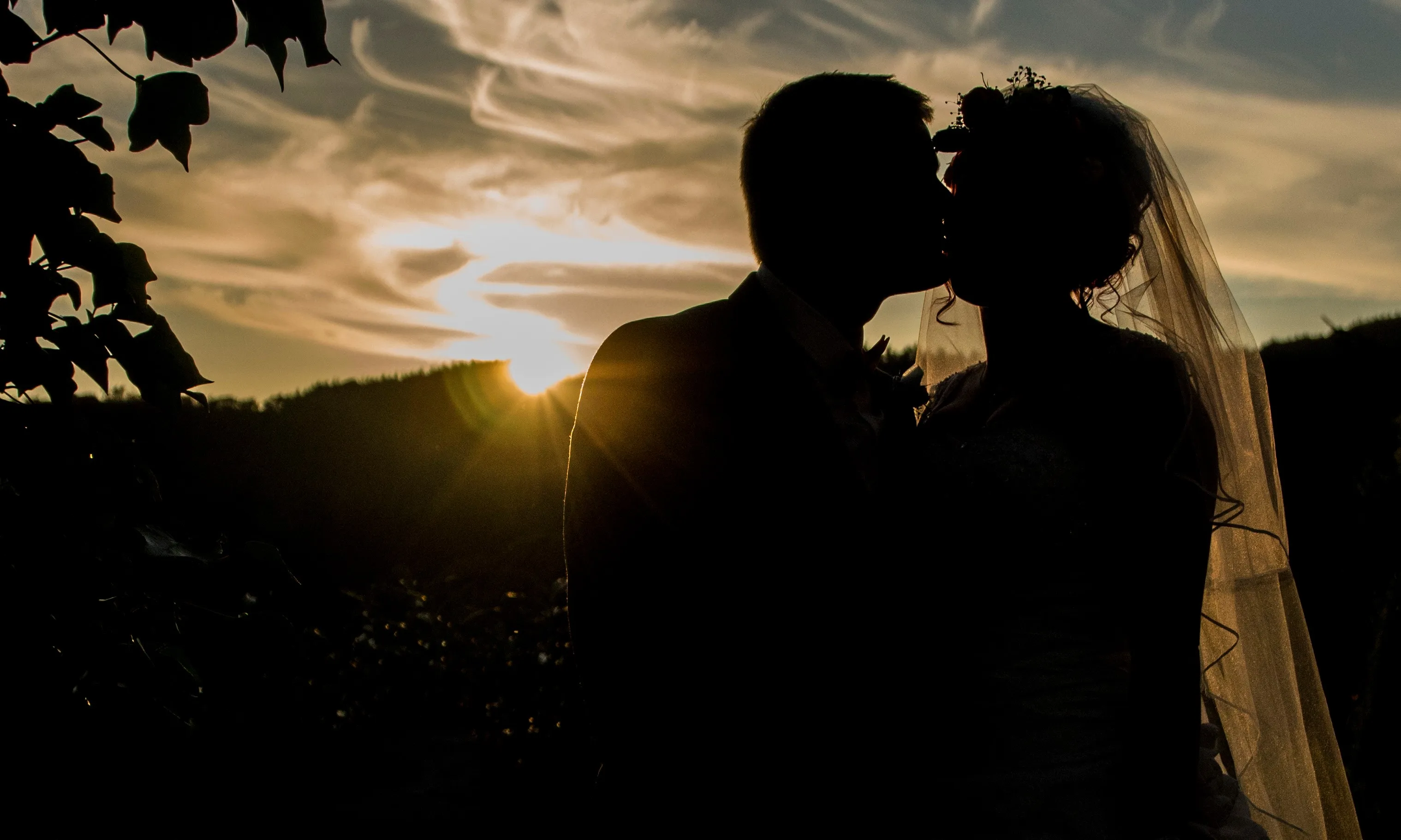 Silhouettes