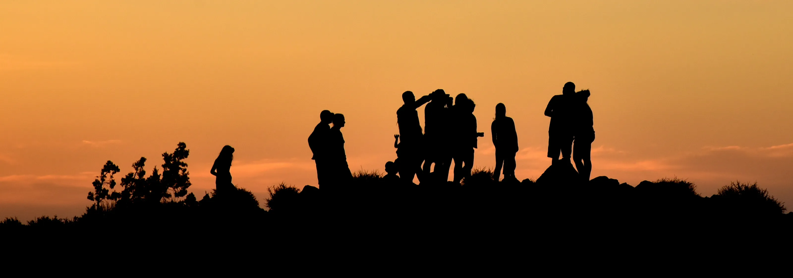 Silhouette