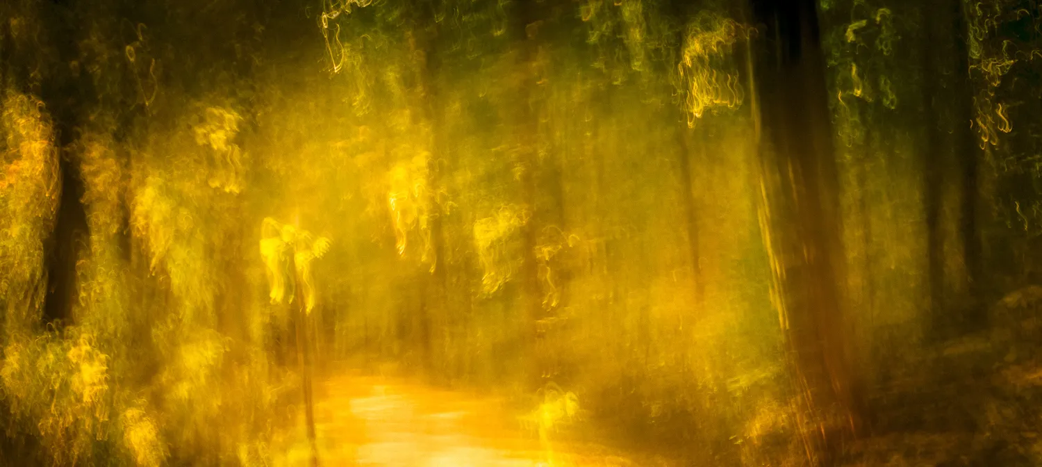 Intentionally blurred