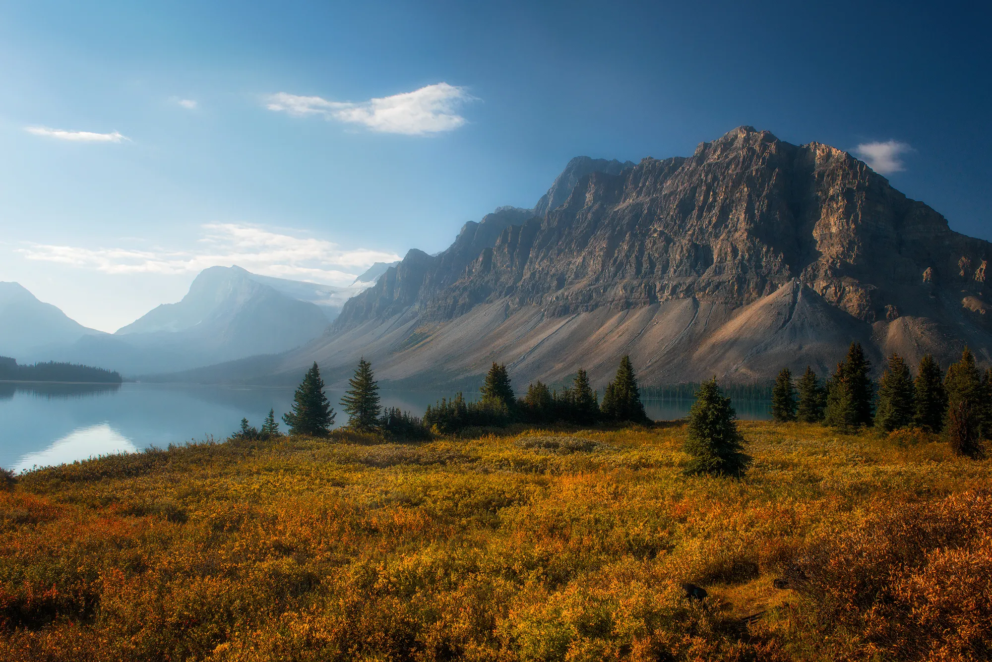 Landscape Transitions