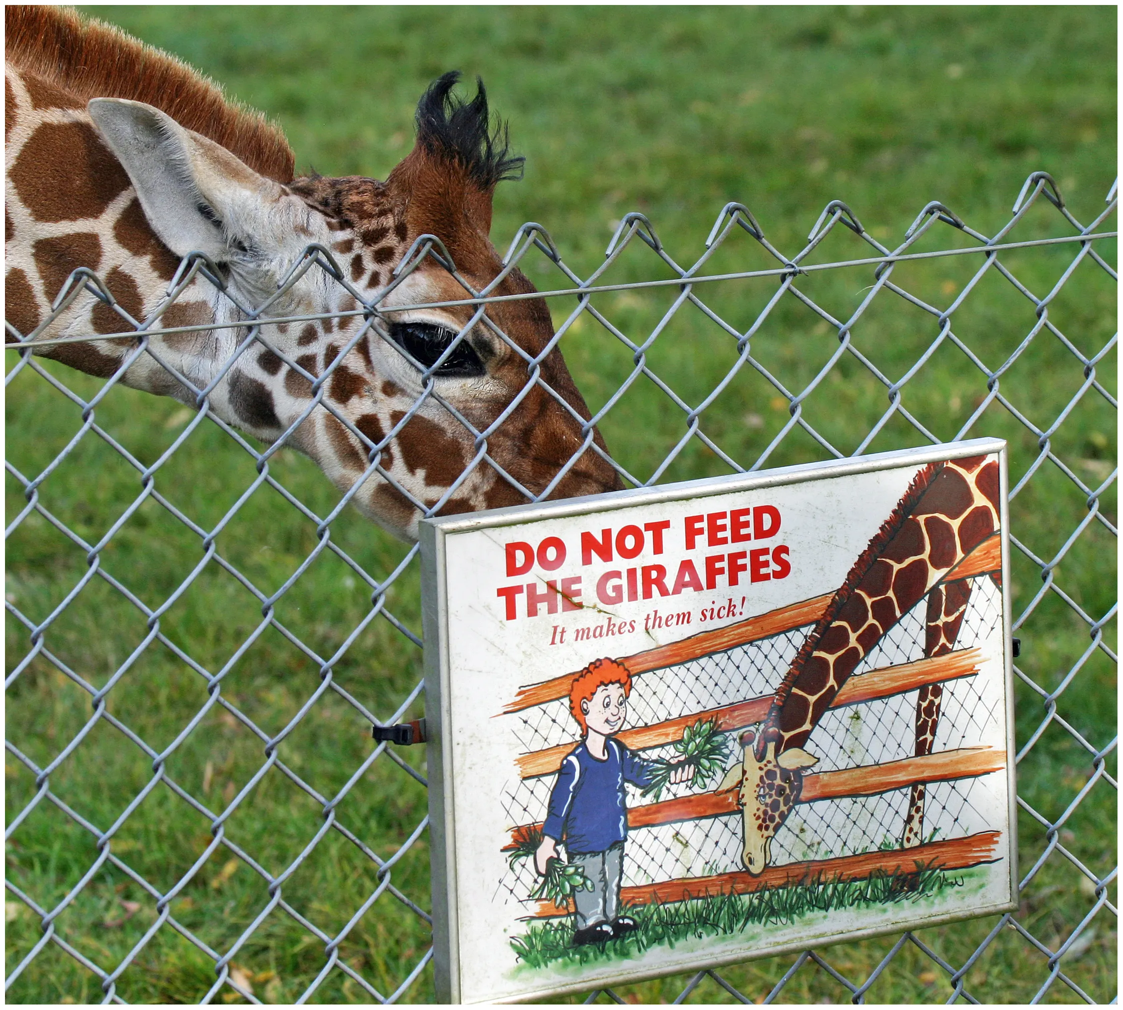 Zoos from around the world