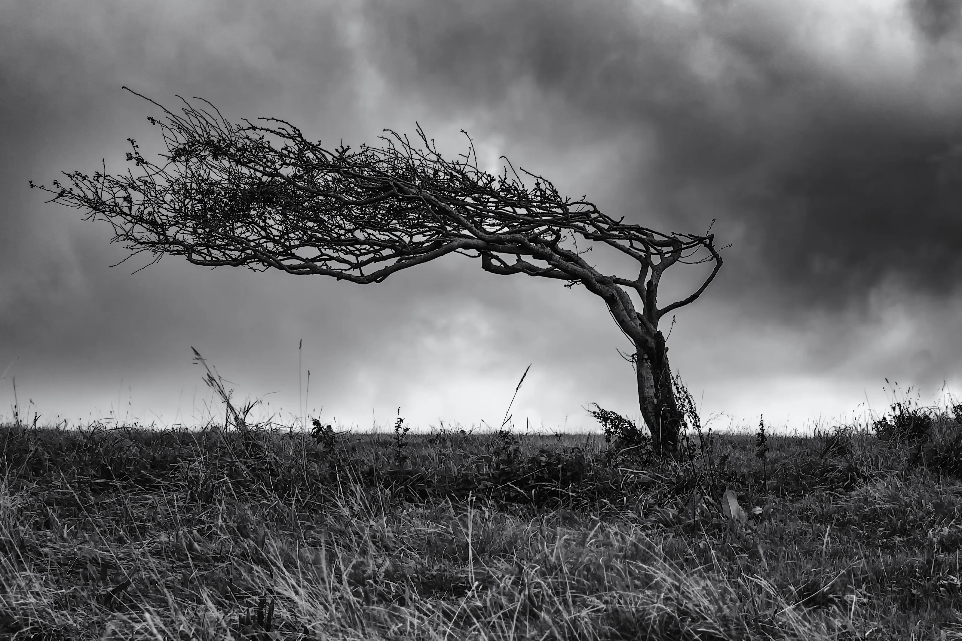 When it's windy