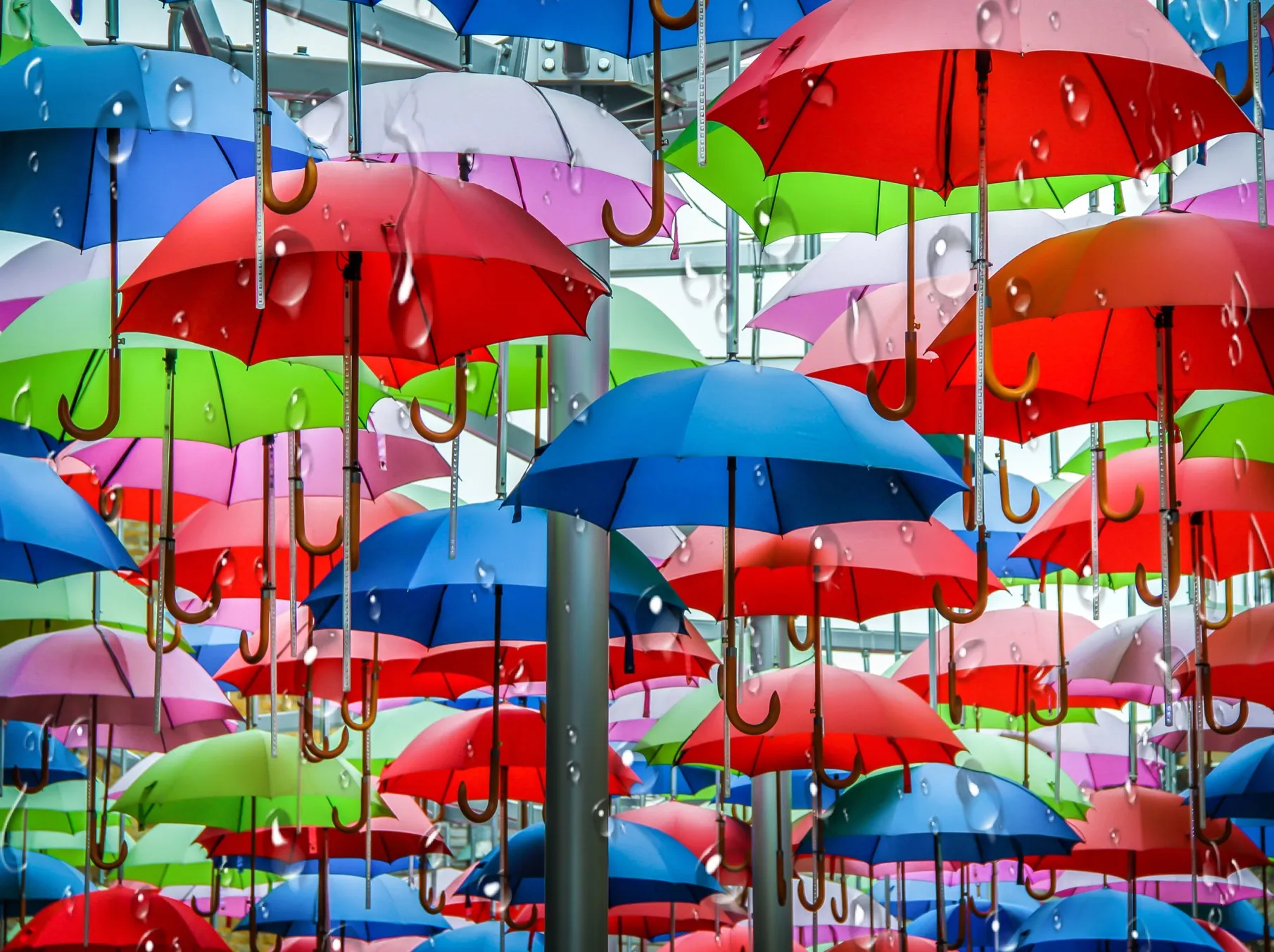 Colourful Umbrellas