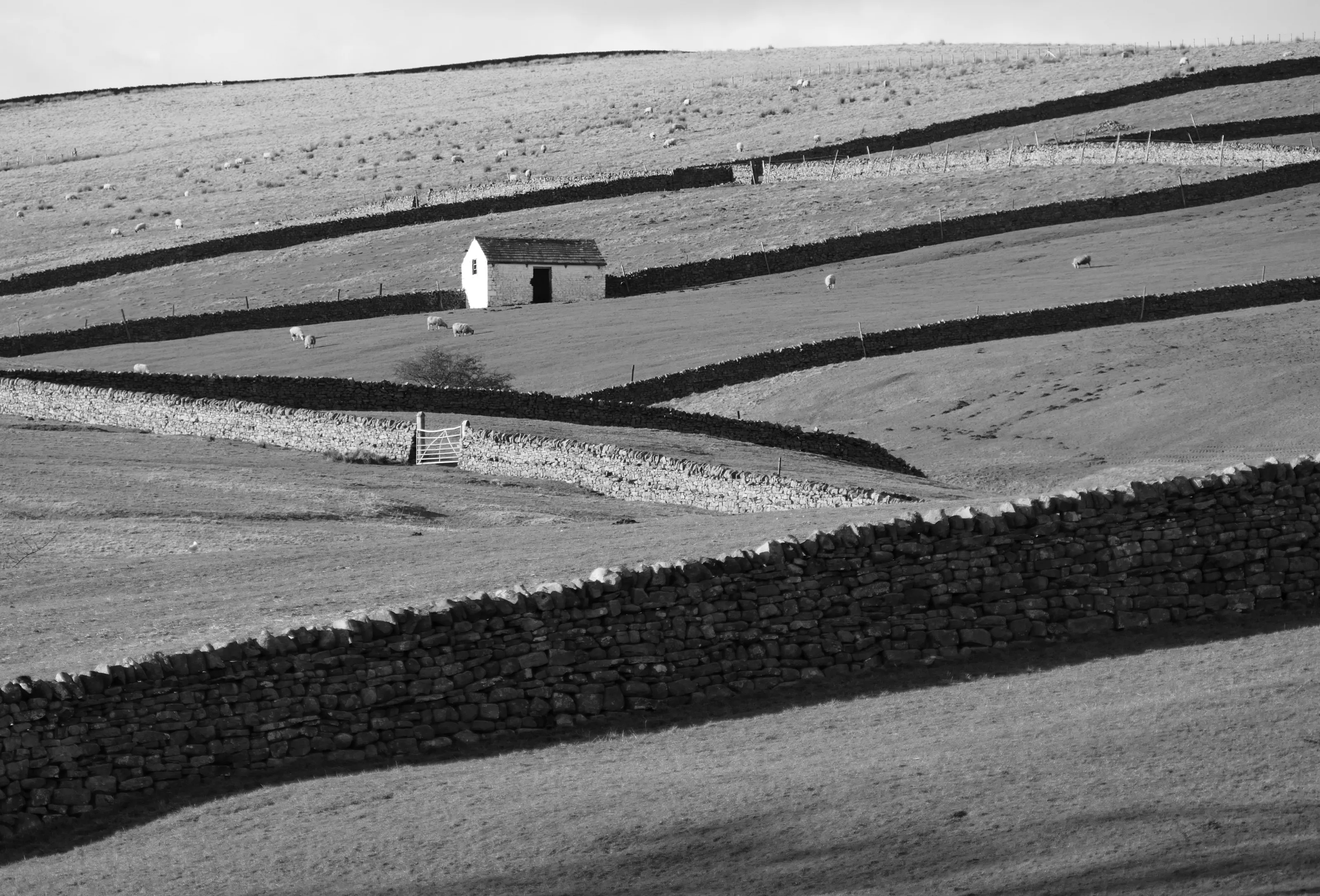 One building landscape