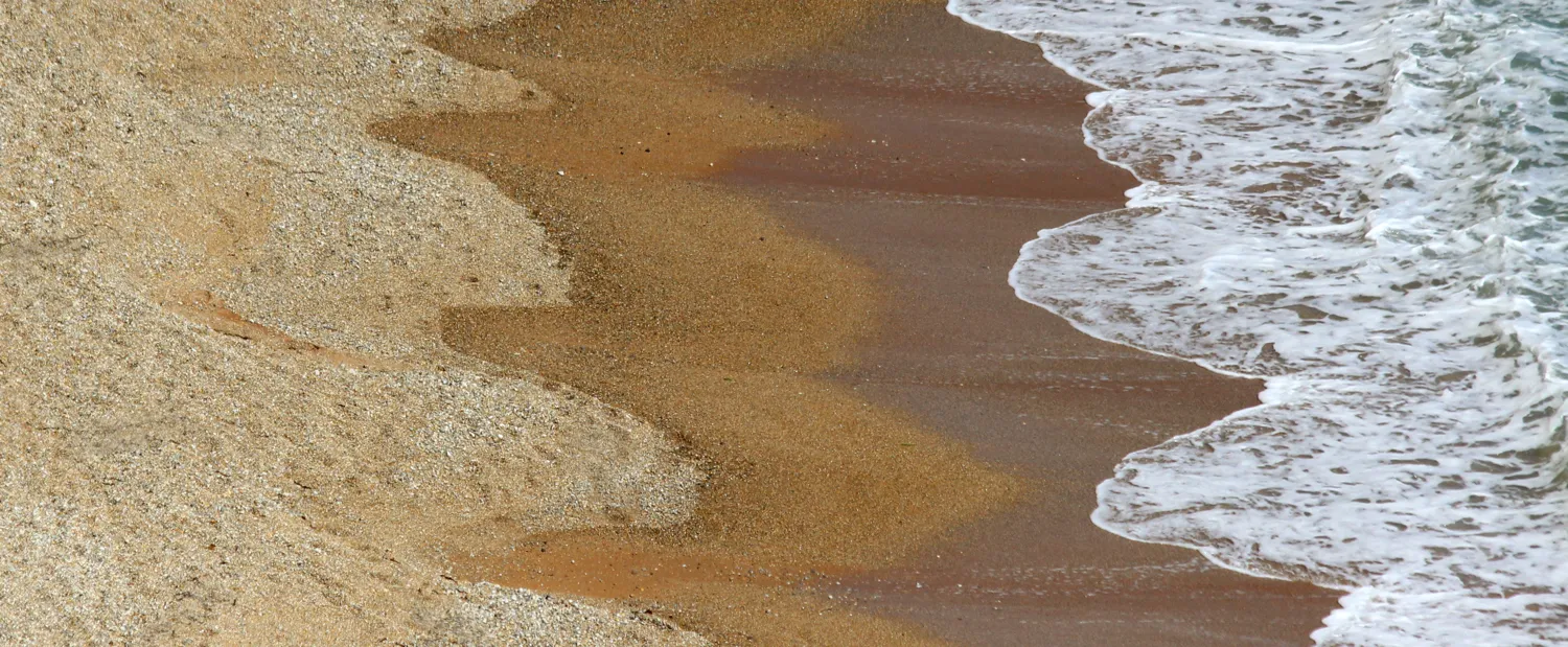 Waves