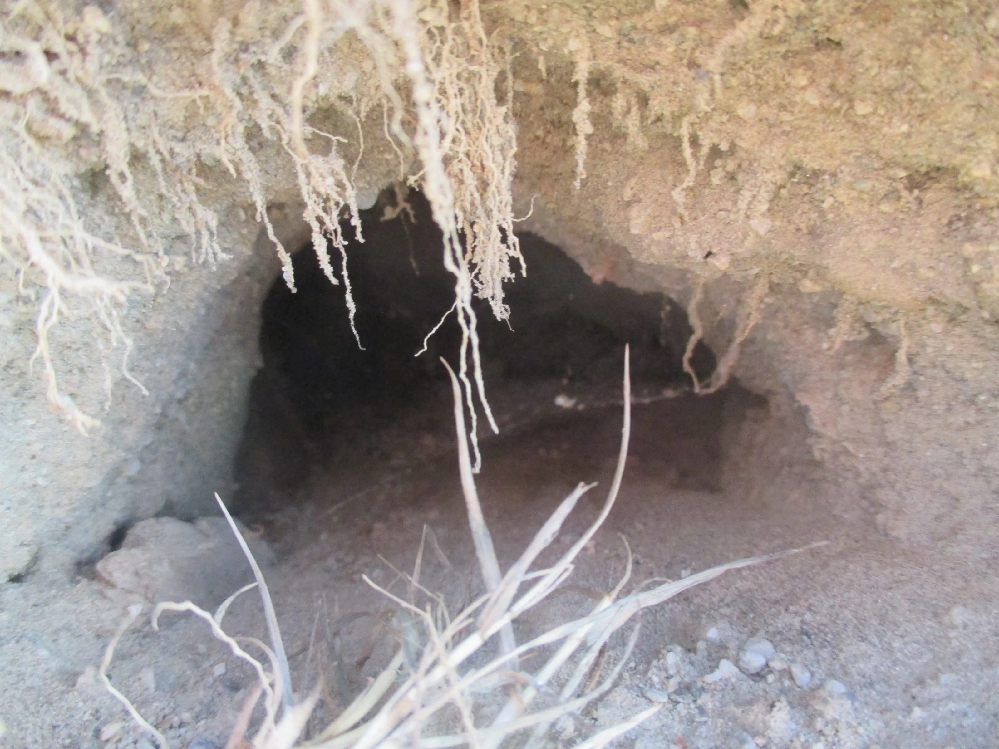 caves or holes