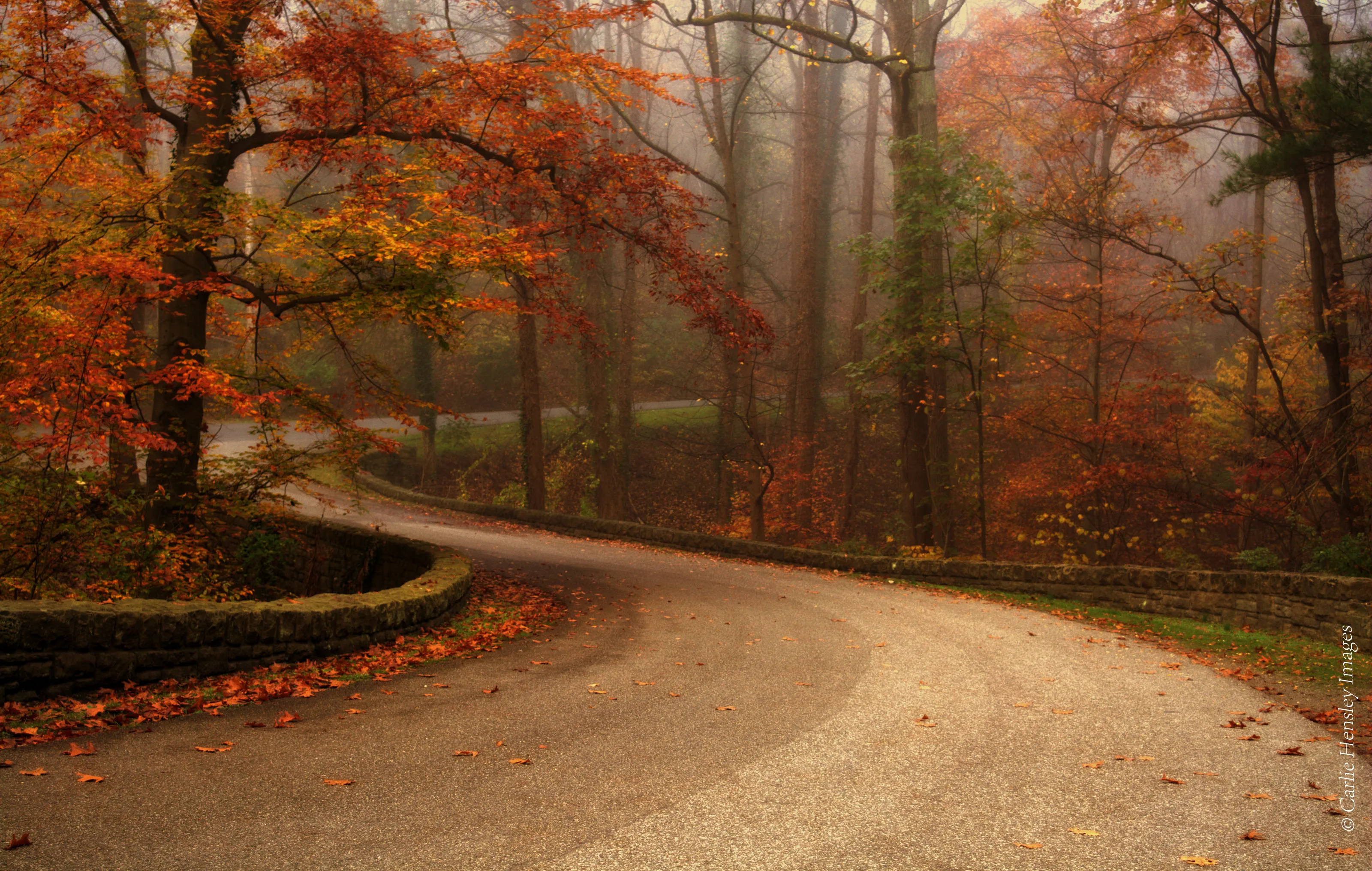 Autumn Scenes