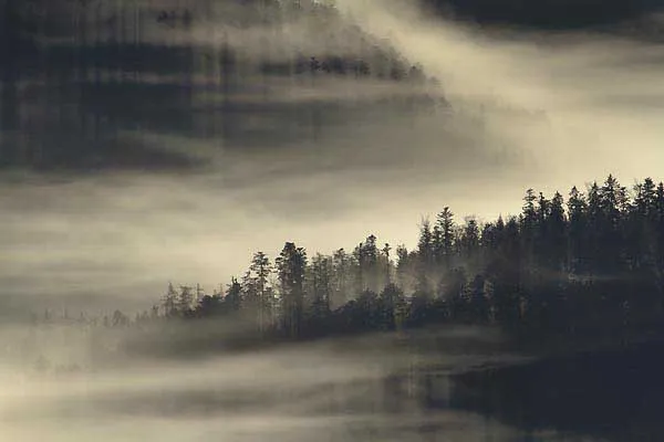 Misty landscape