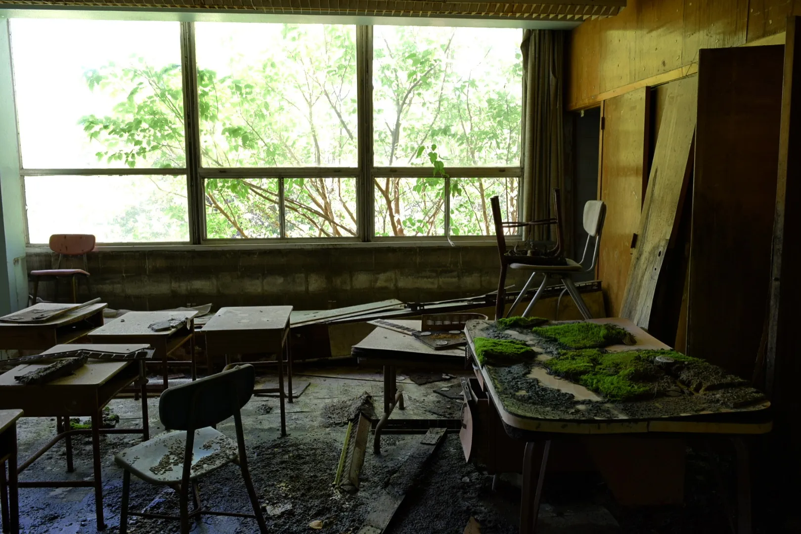 Beauty in decay