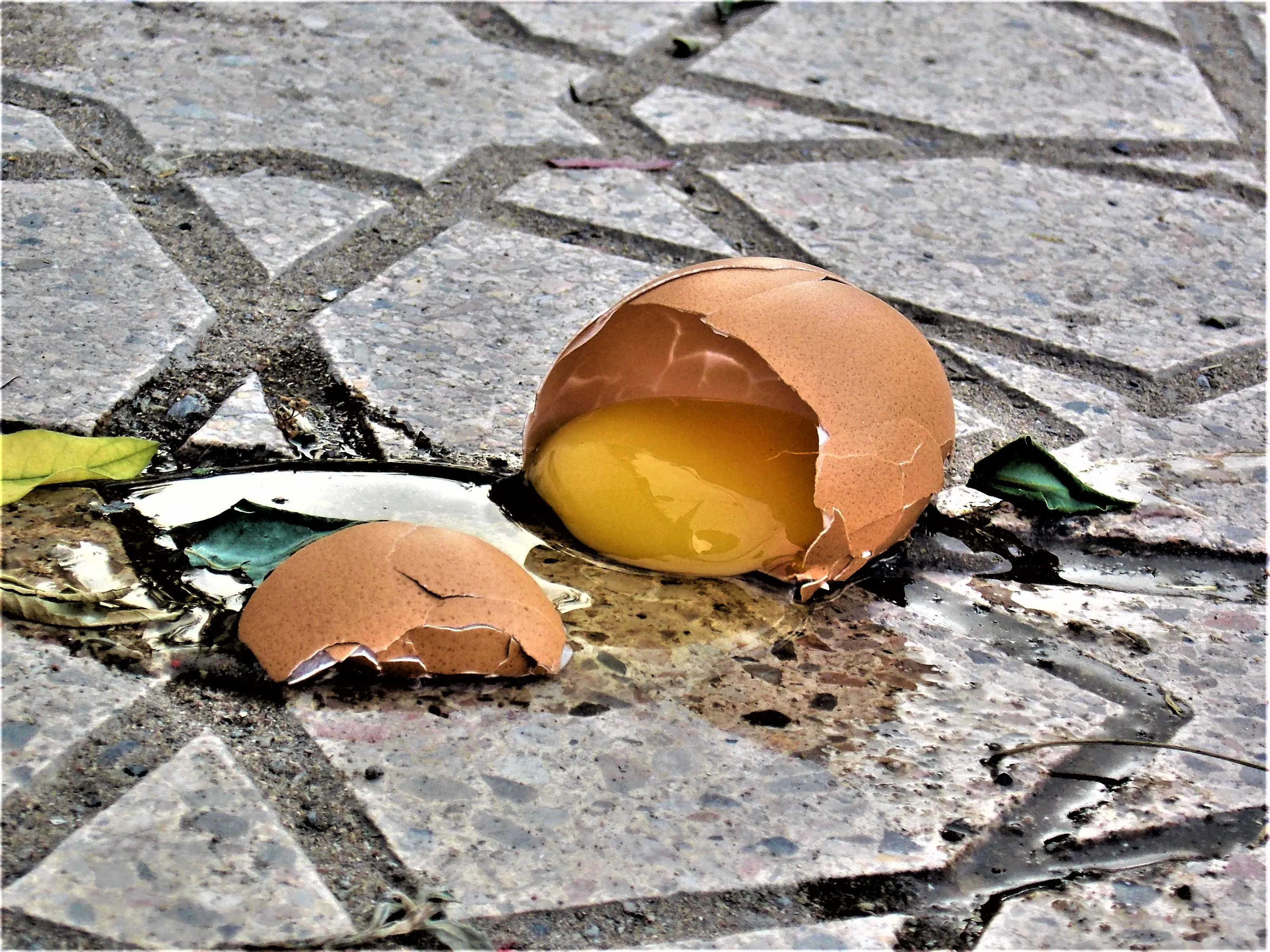 Unusual Omelettes