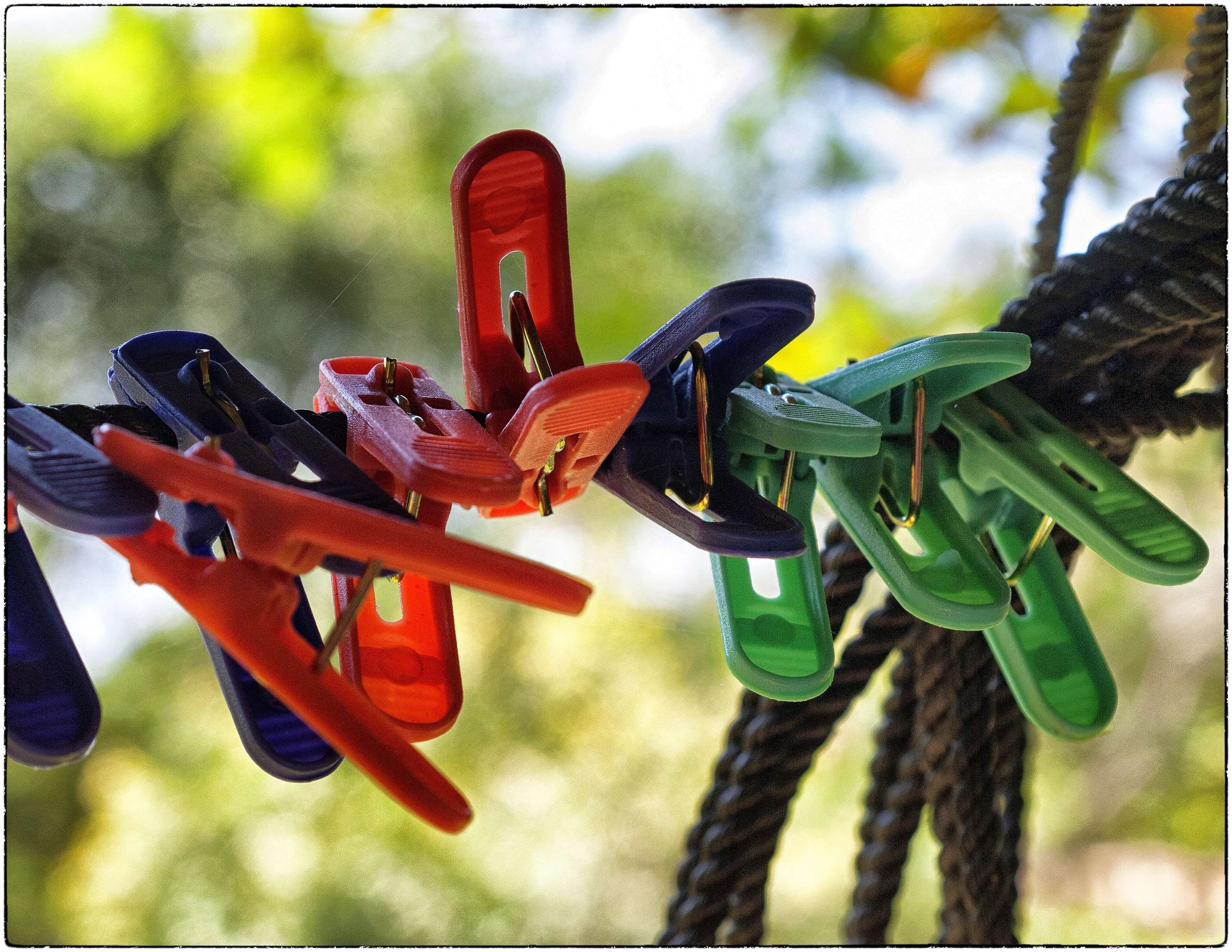 Clothes-Line Pegs