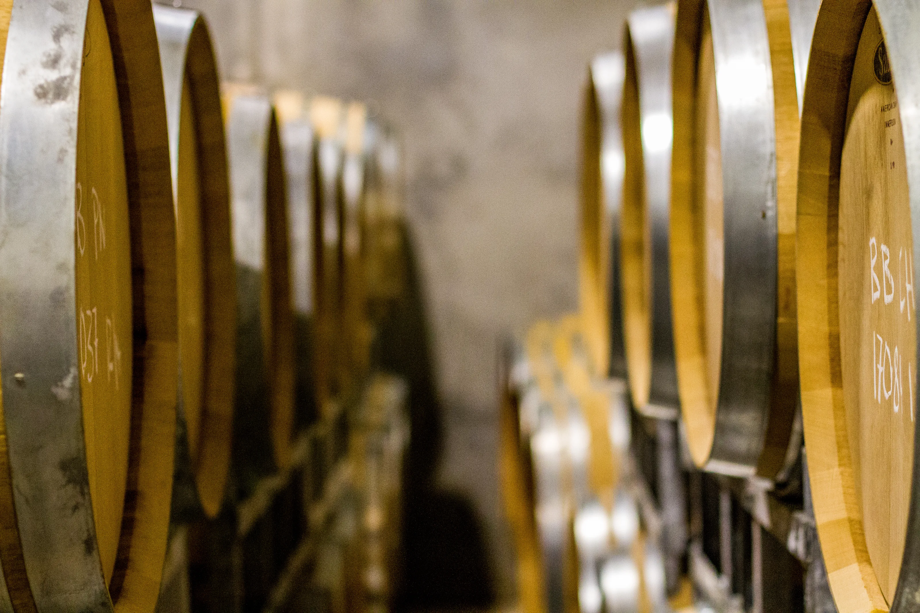 From grapes to wine