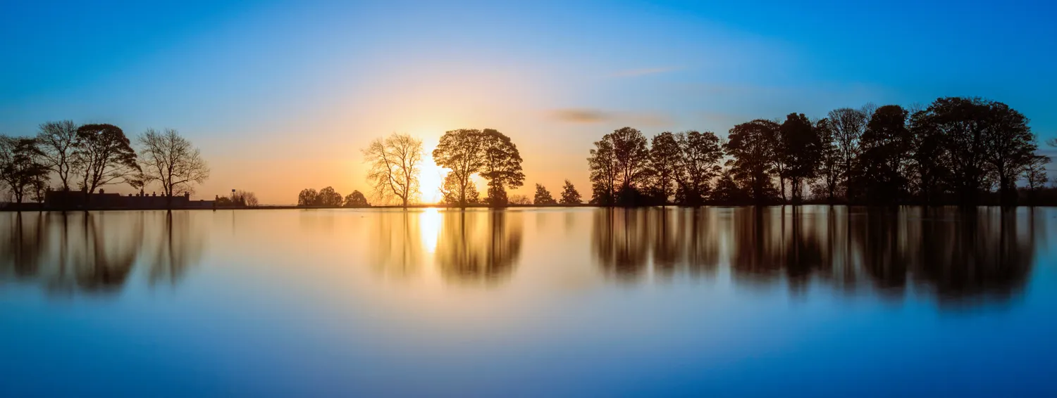 Trees
