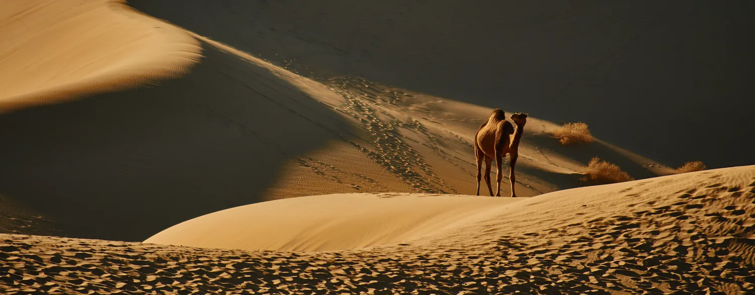 Desert wildlife