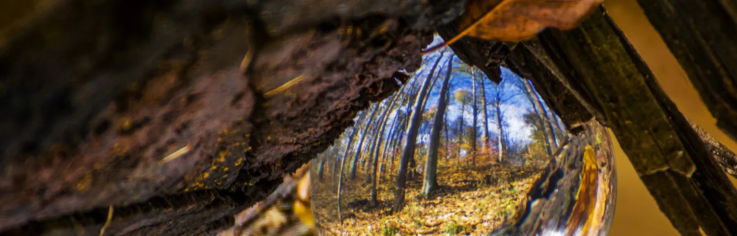 Play with perspective