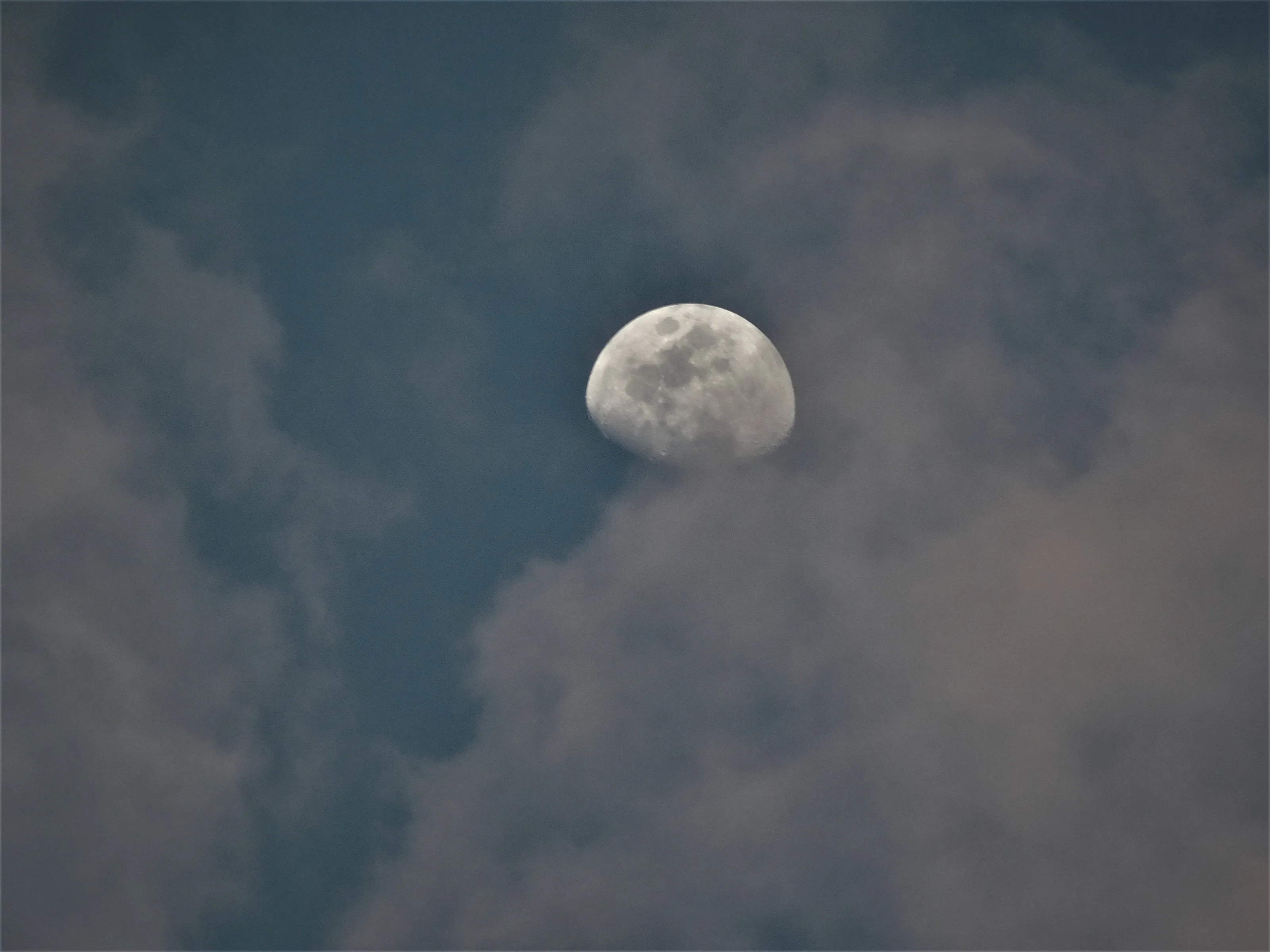 Moonlight