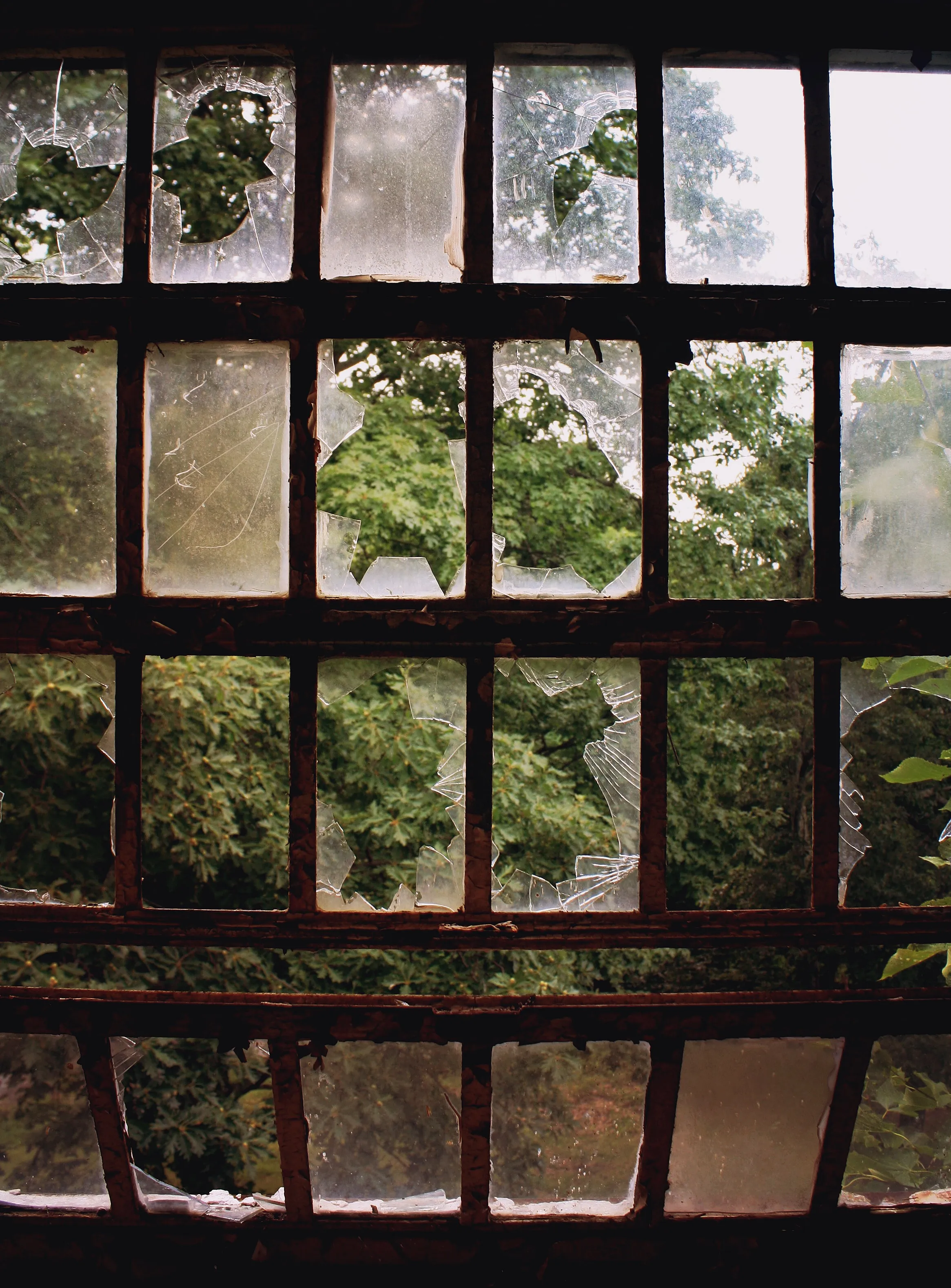 Windows