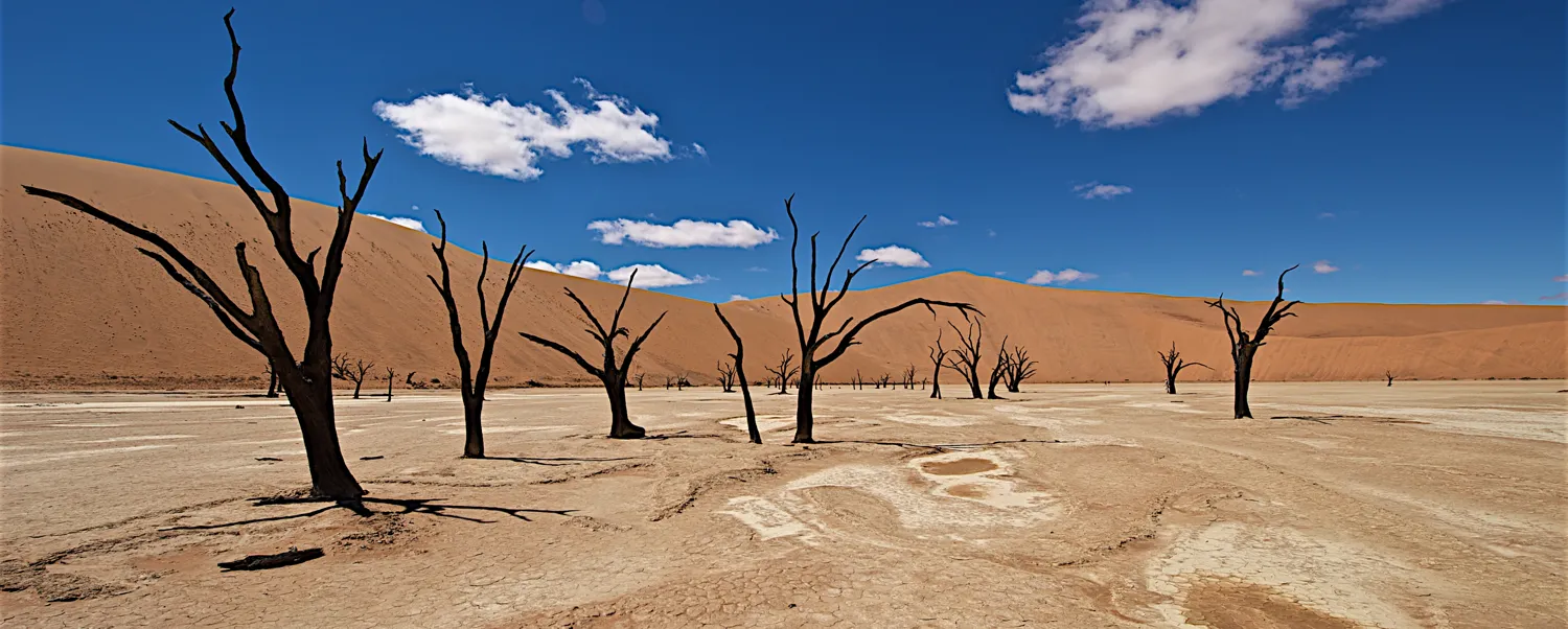 Barren landscapes