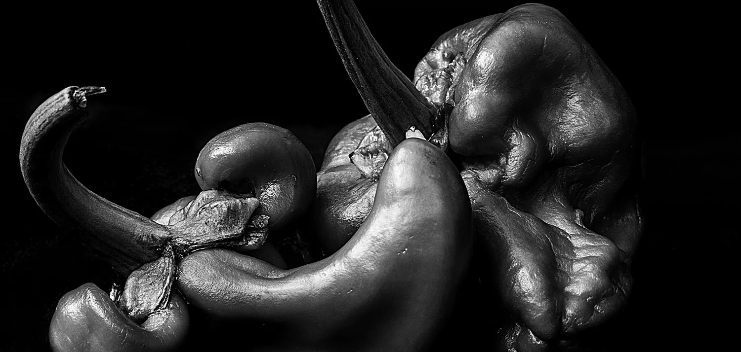 Black and white still life