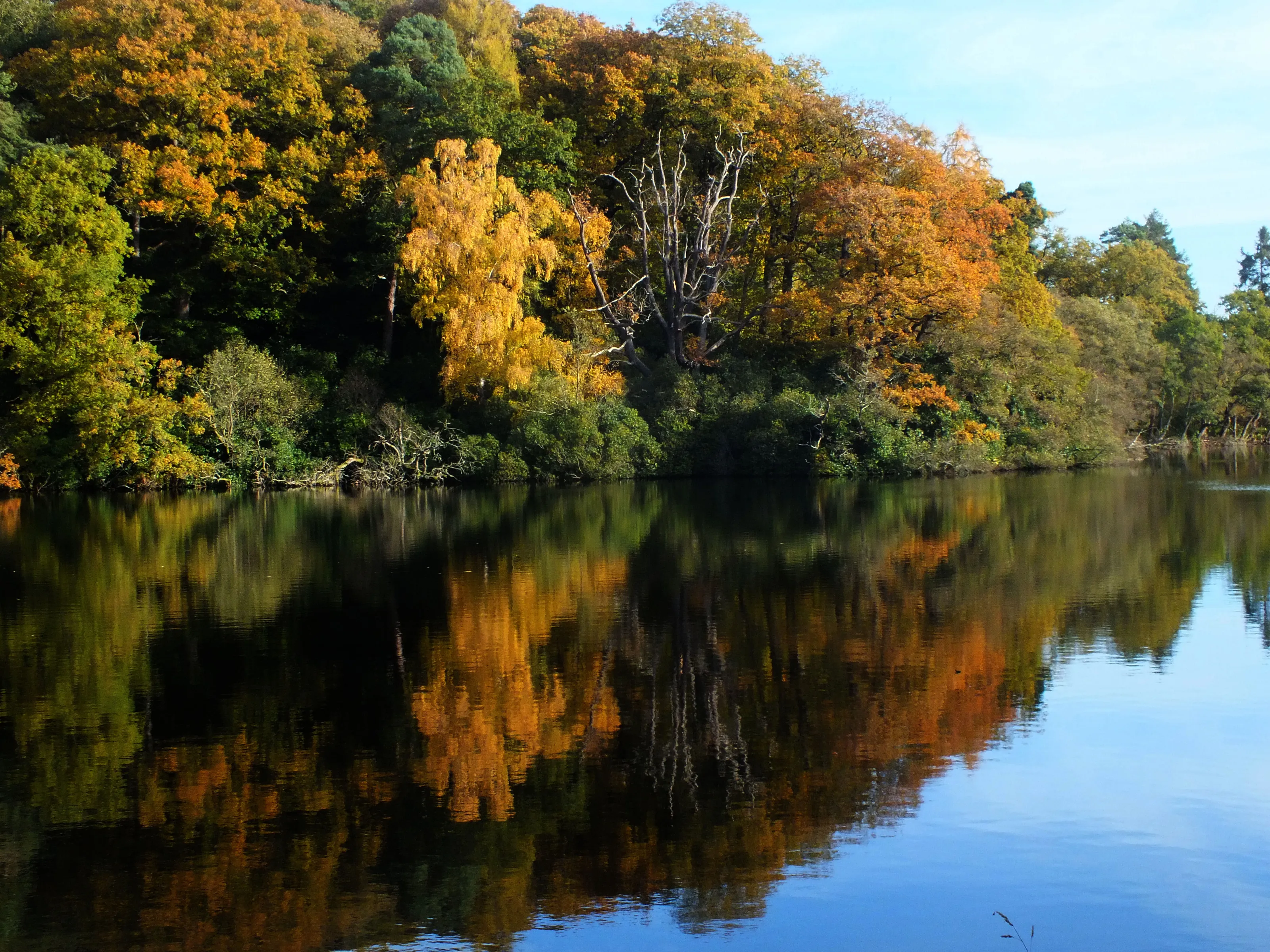 Autumn
