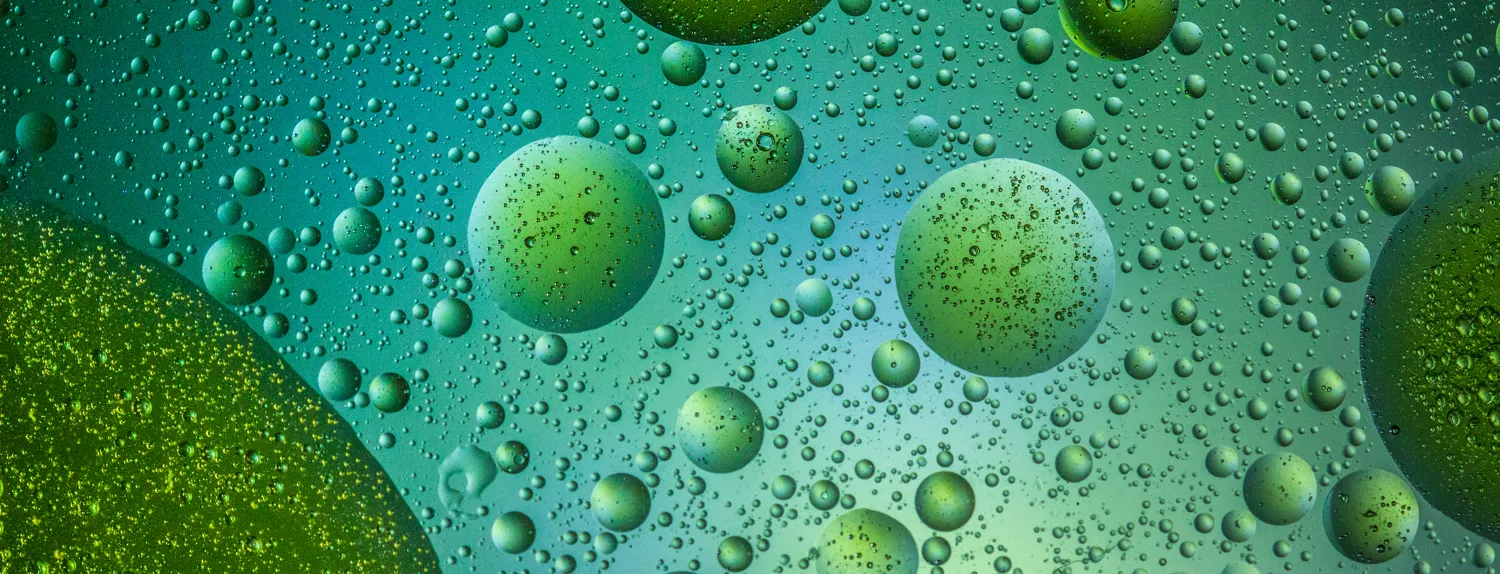 Macro abstracts
