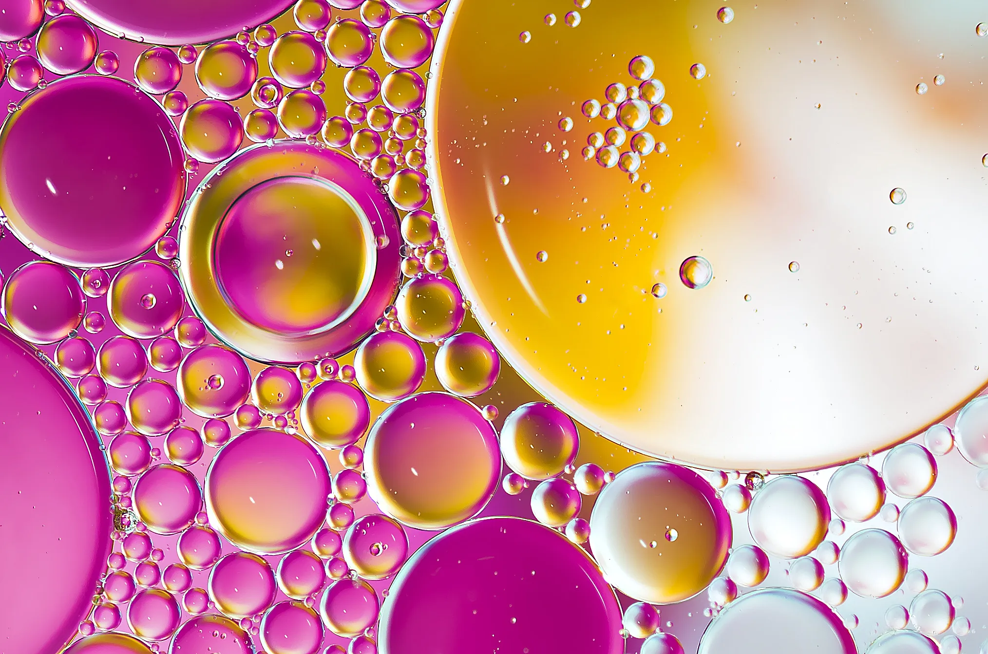 Oil and Water