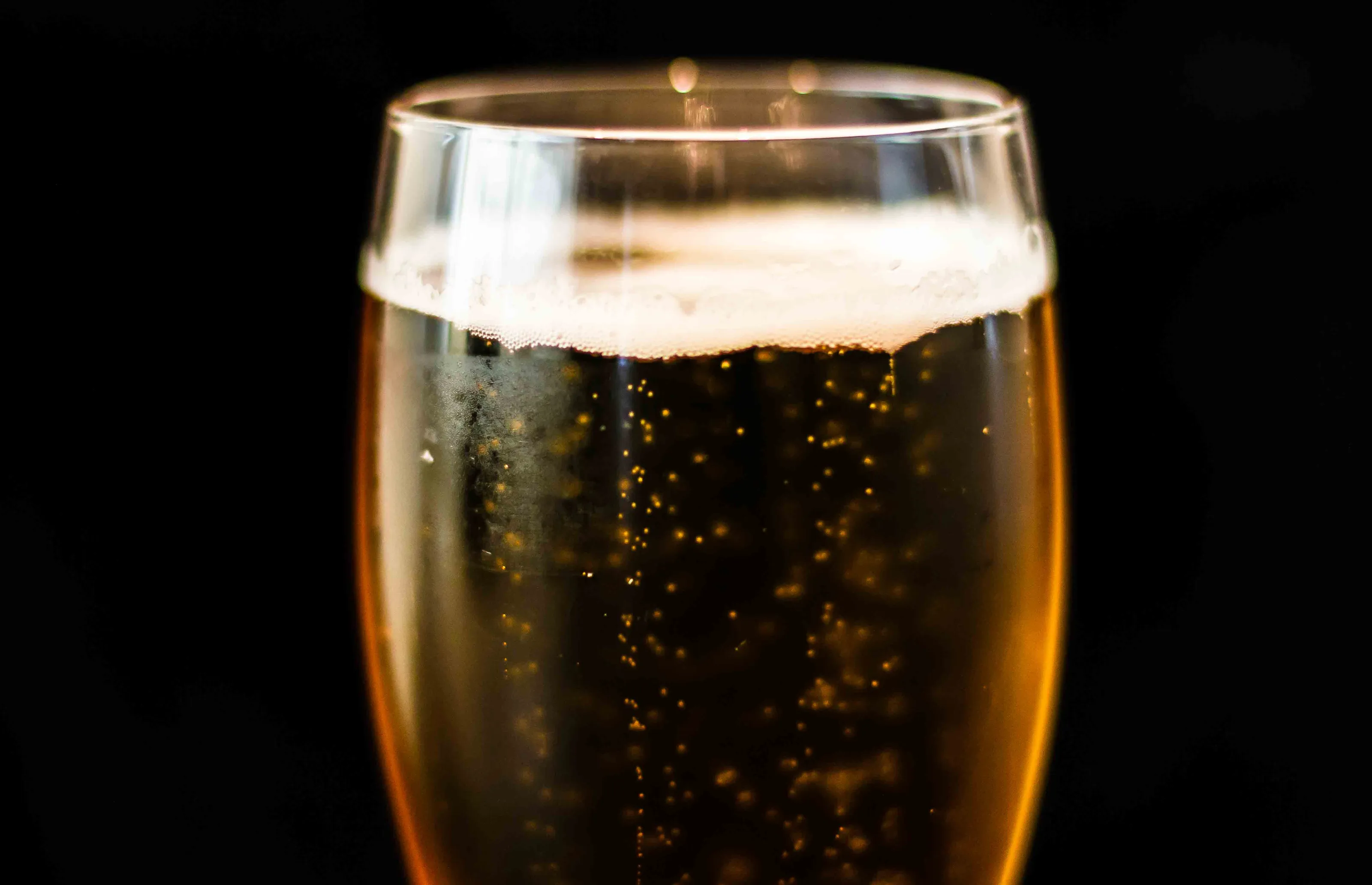 The Journey of Beer