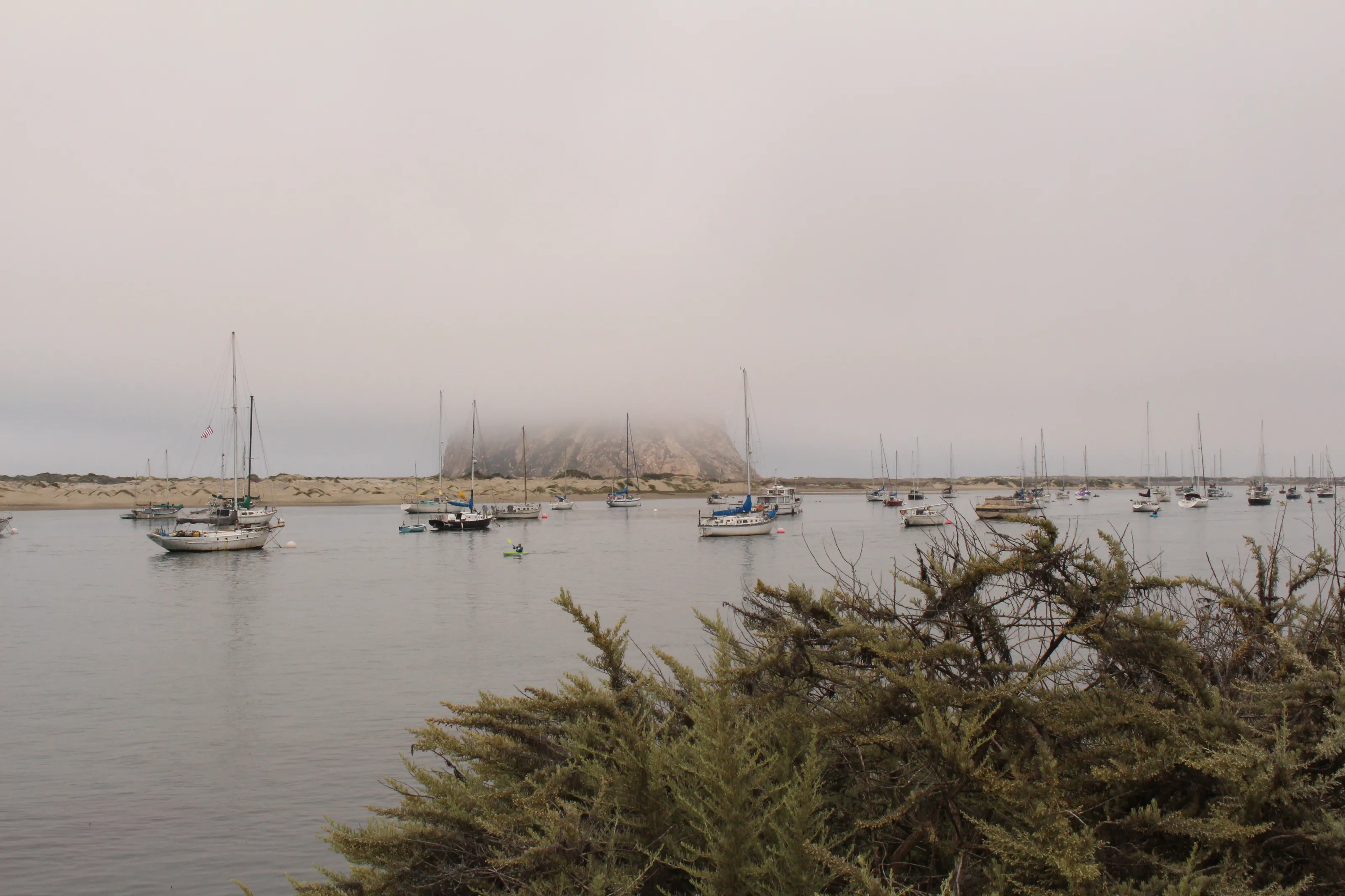 Ships in the harbour