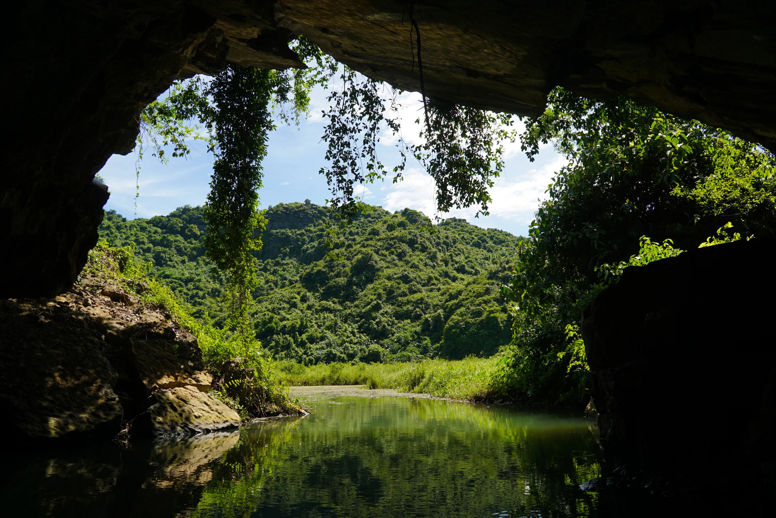 Unedited Raw Nature Images