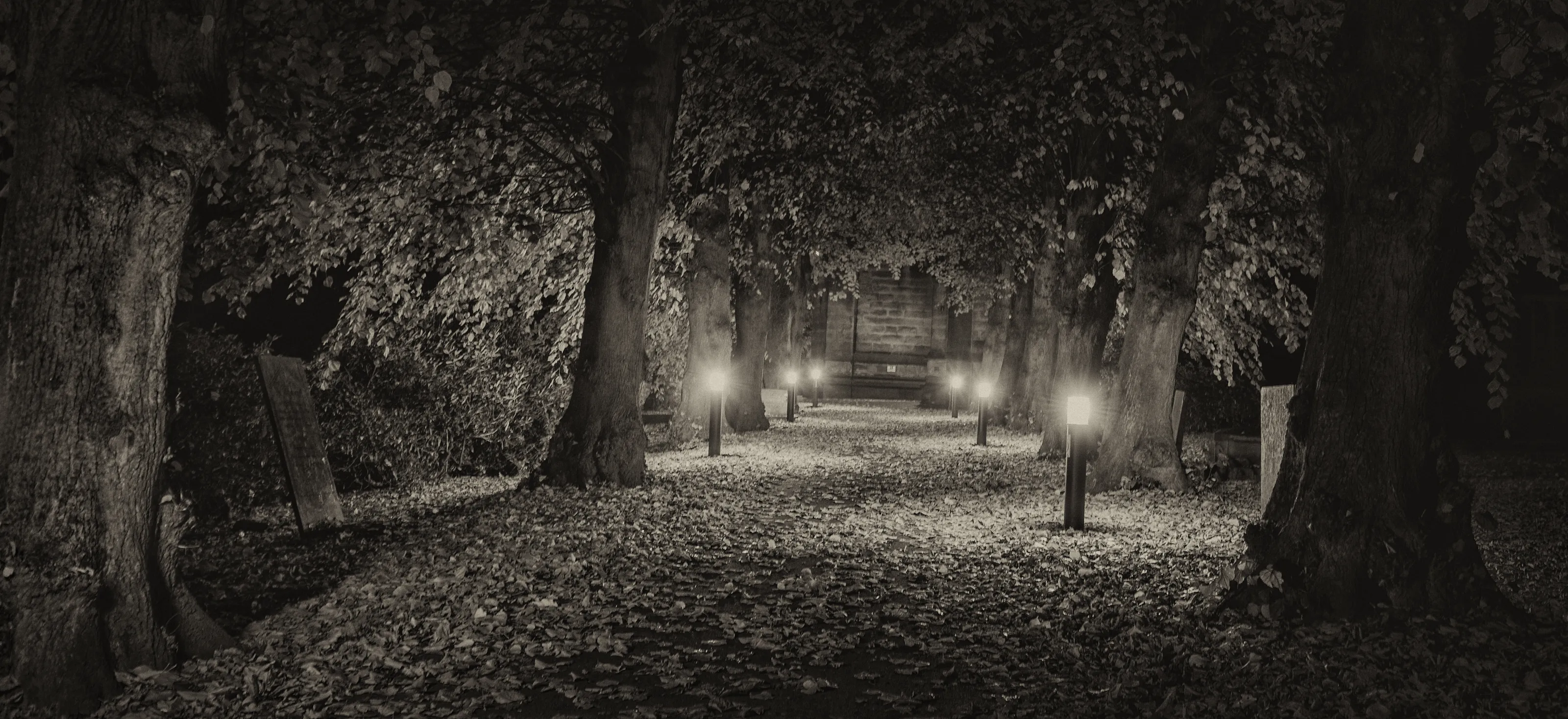 Churches and churchyards