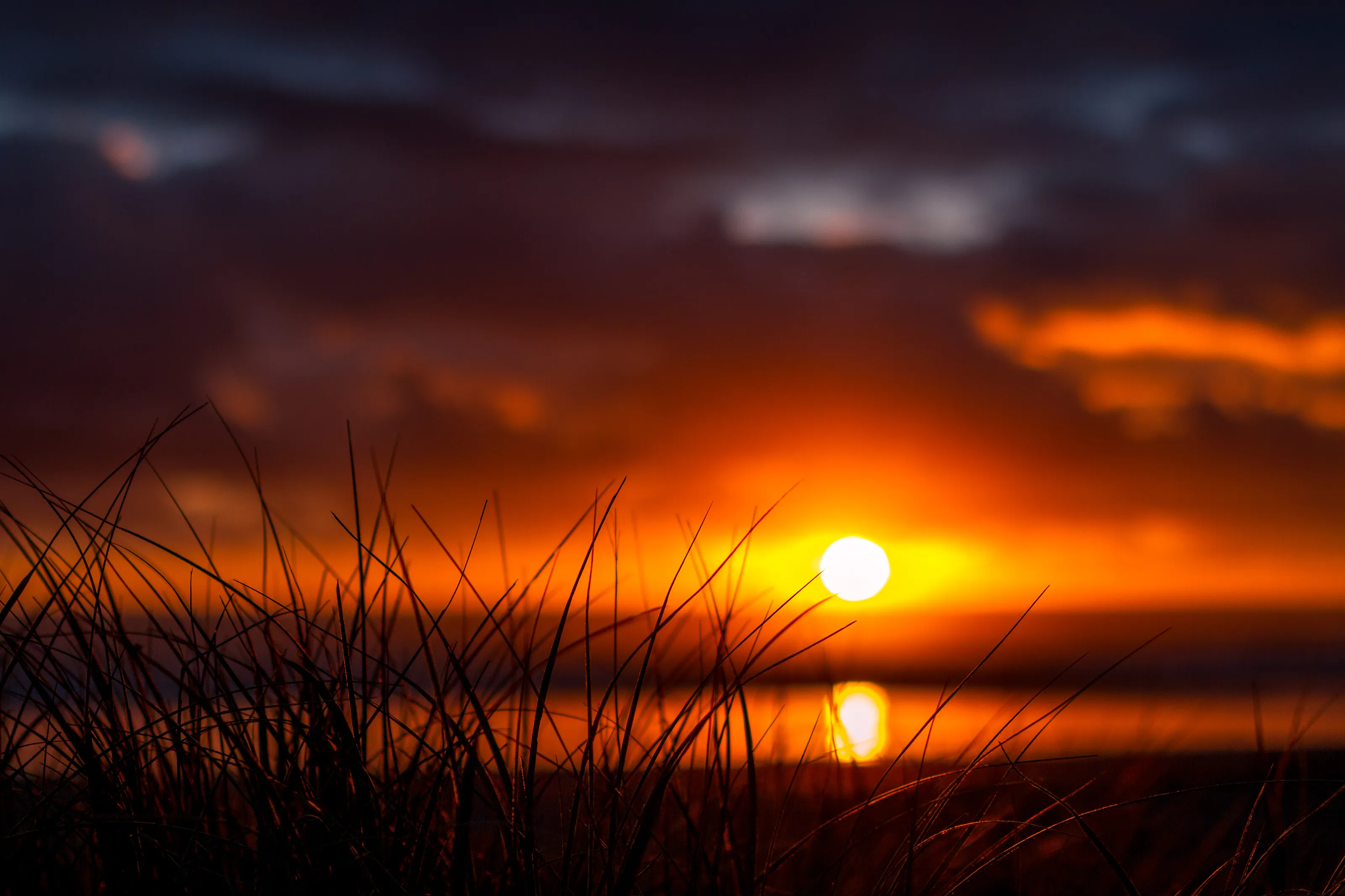 Wide Aperture (F2.8 or Below)