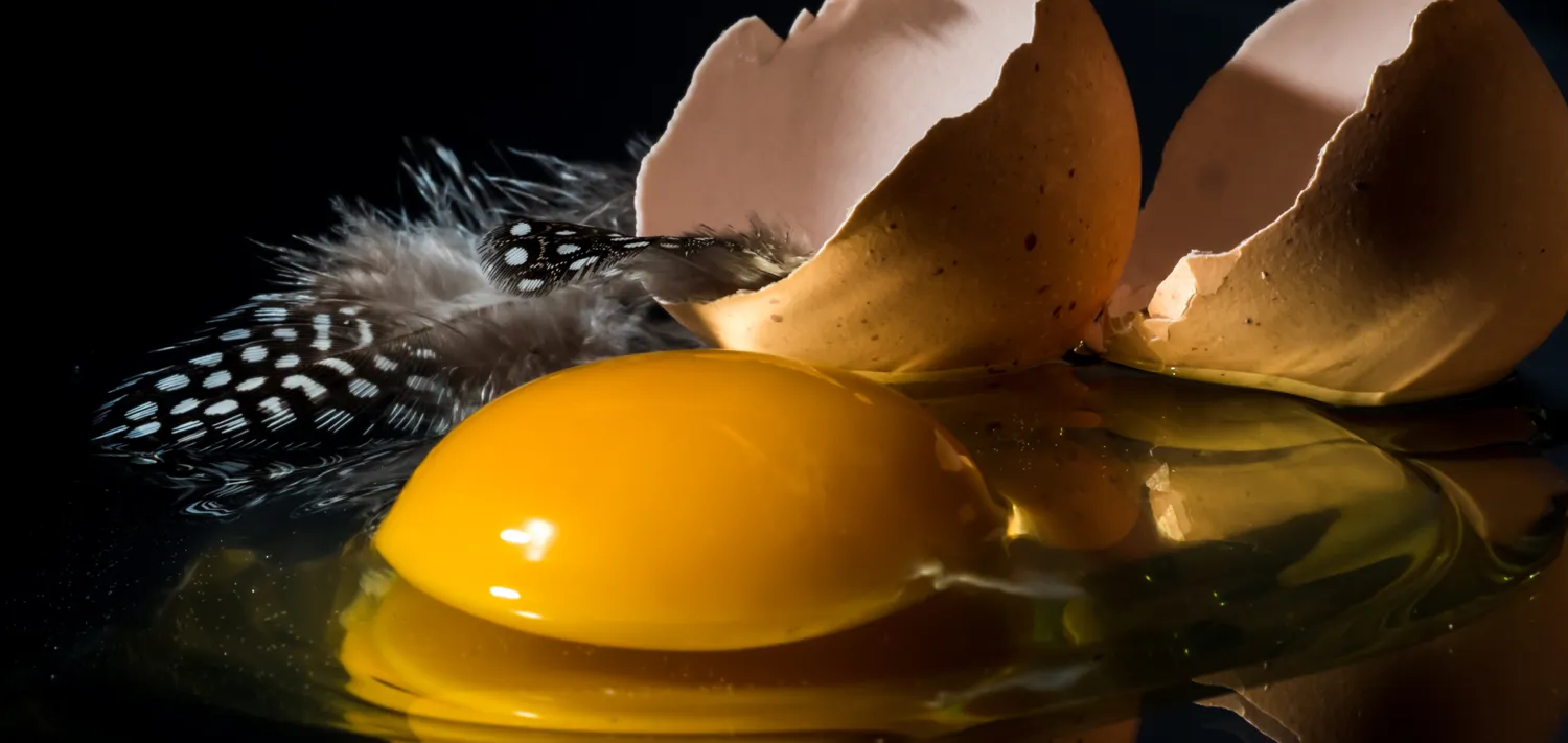 Unusual still life