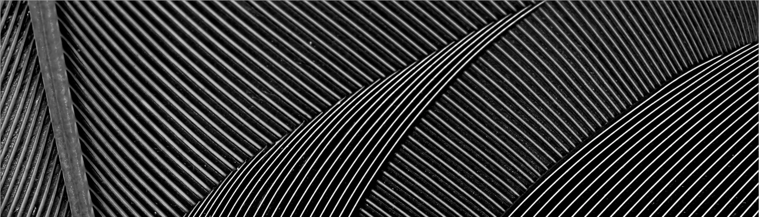 Black and white abstracts