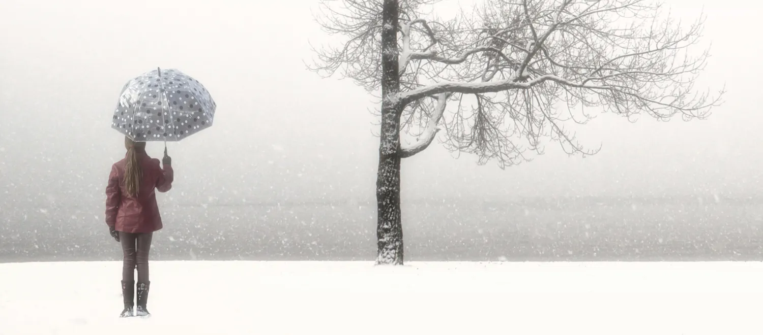 The weather