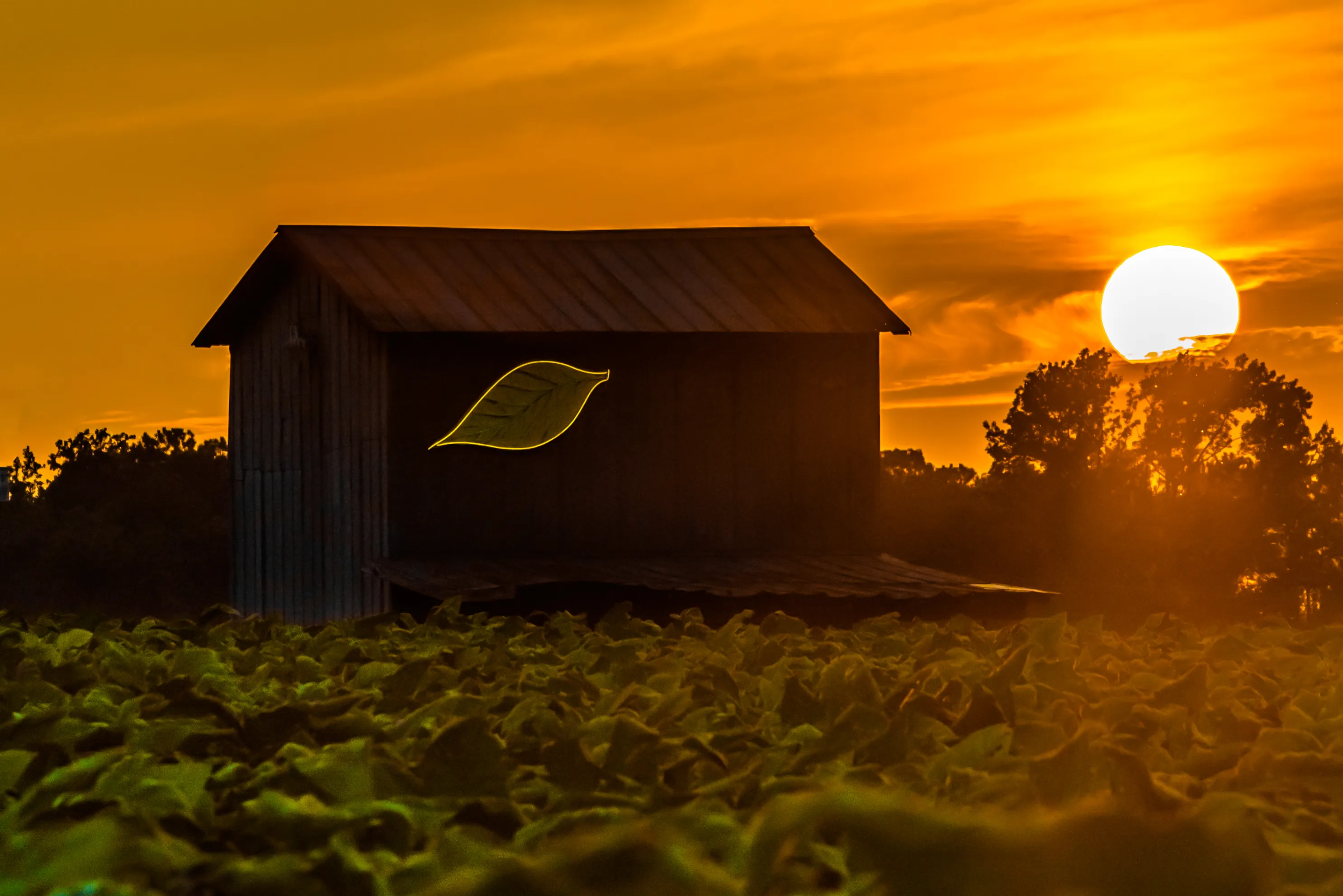 Barns