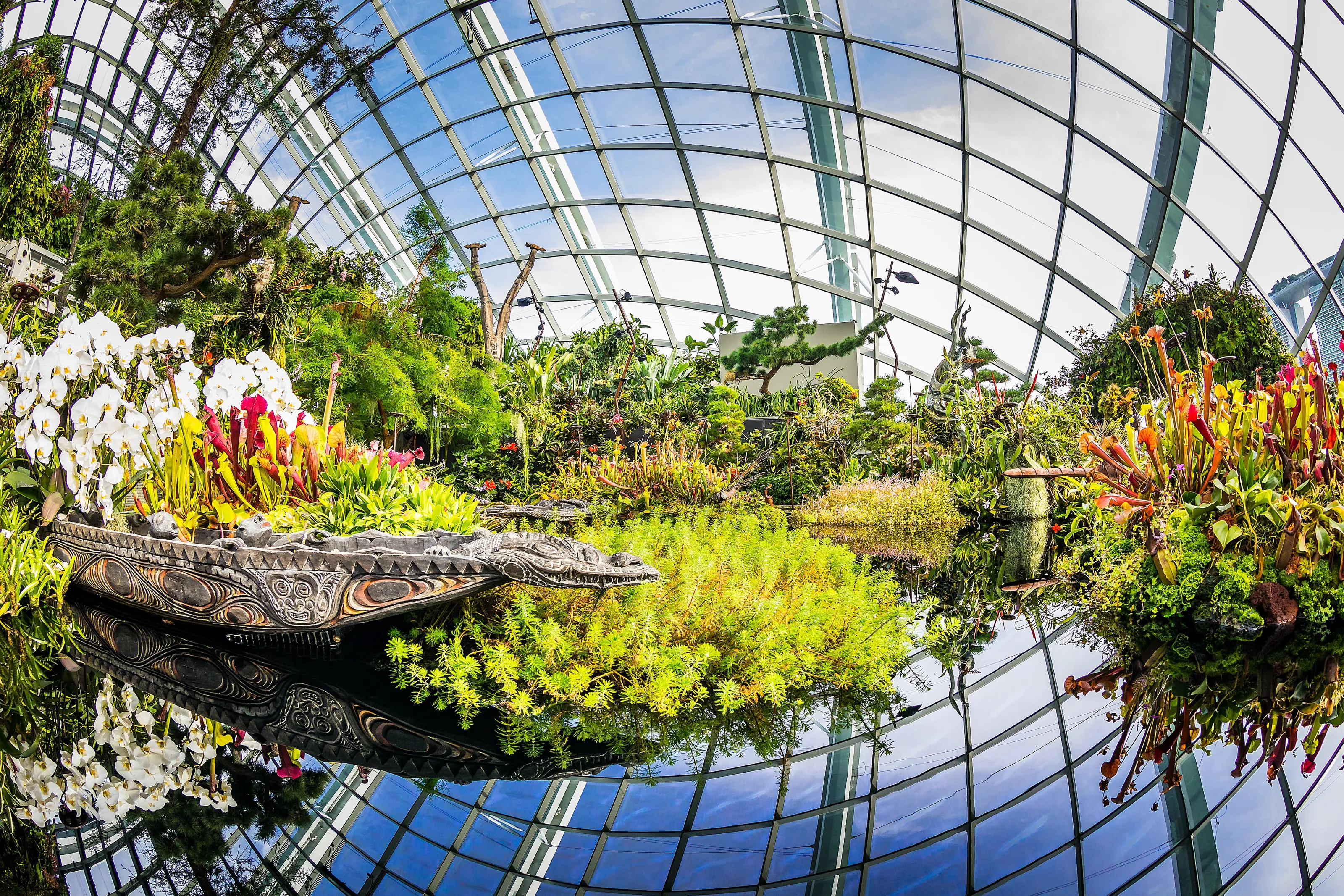 Fisheye View
