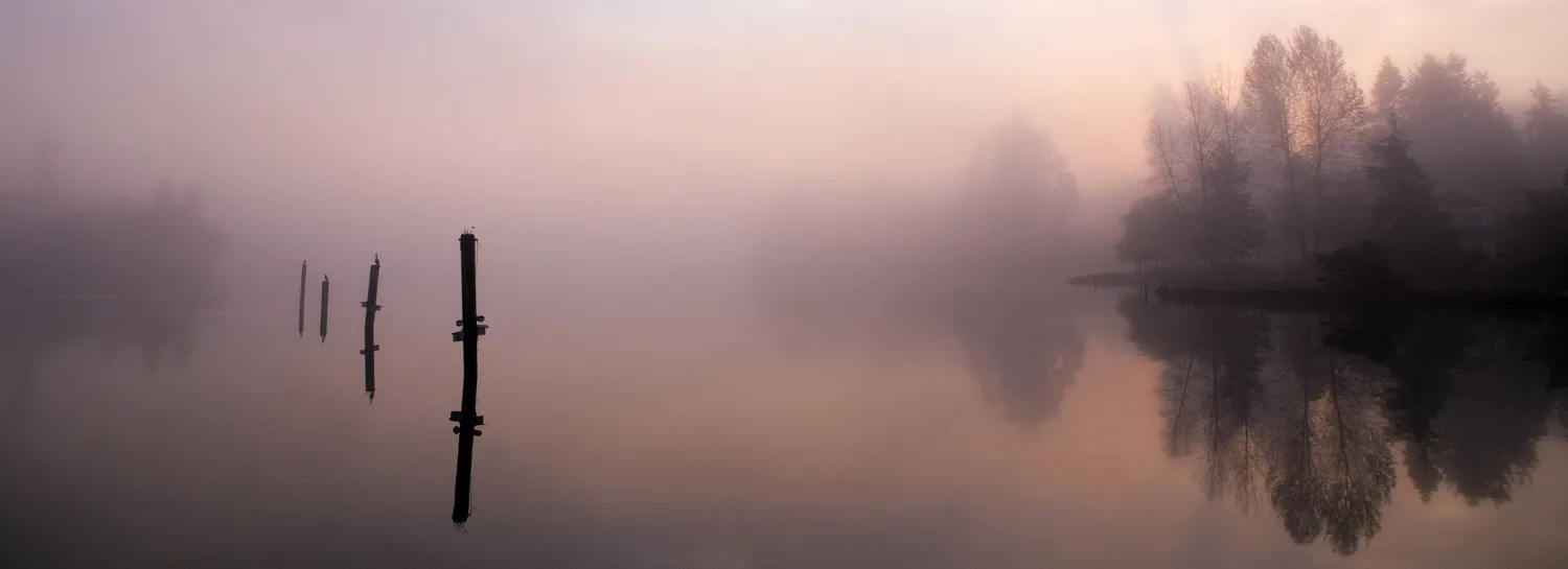 Waterscapes