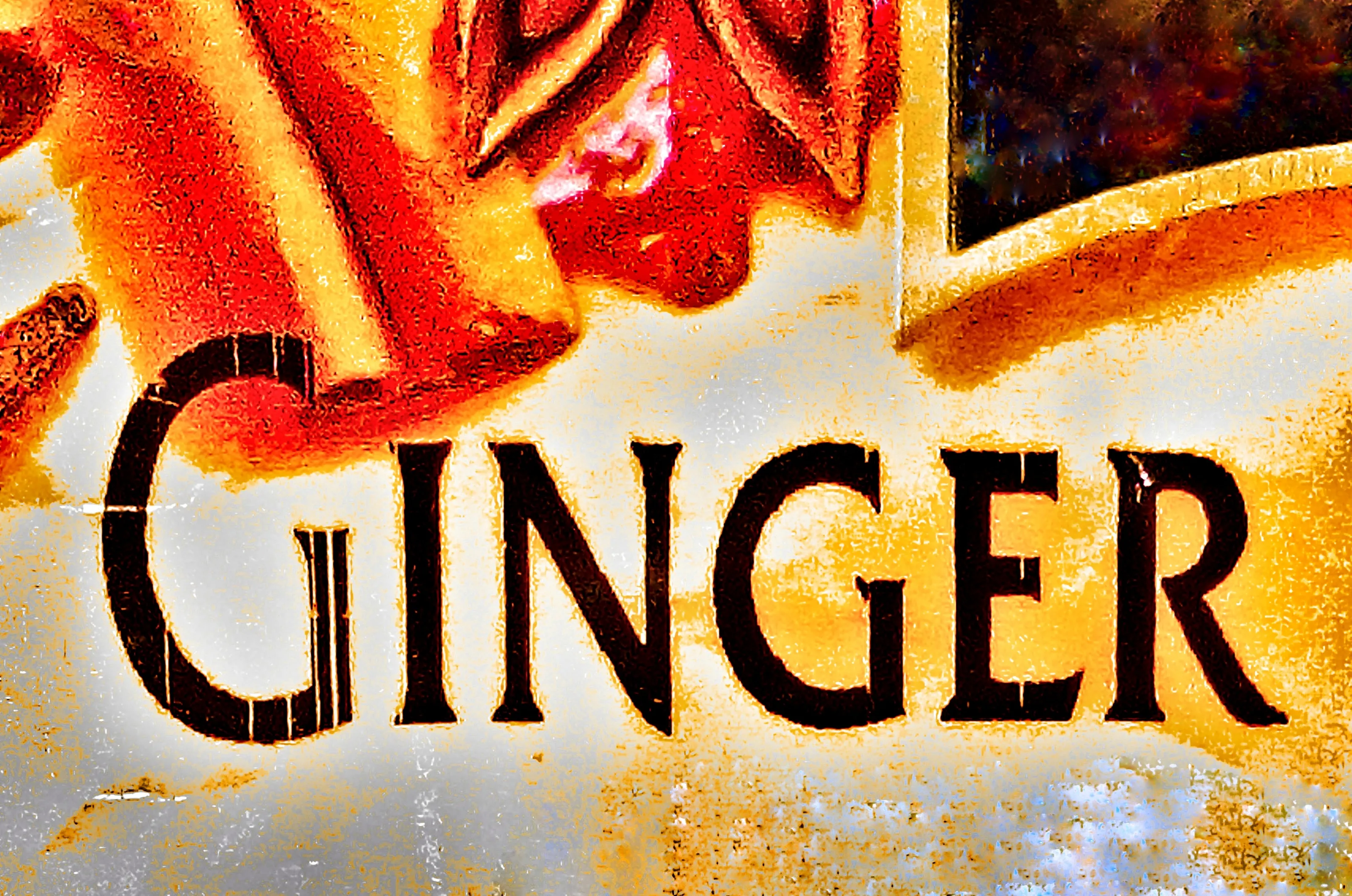 Ginger - The Colour