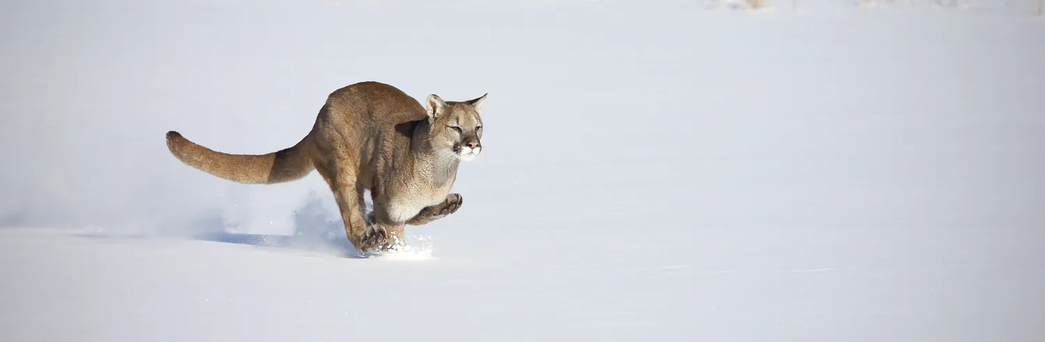 Running
