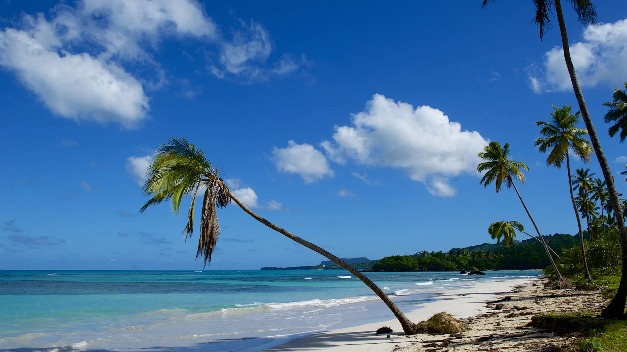 The Caribbean Sea