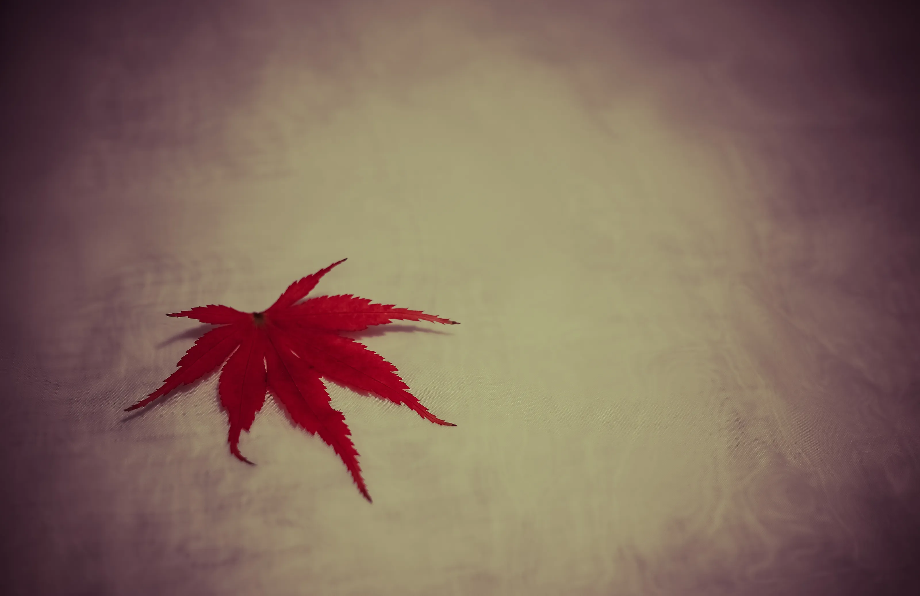 Just One Thing - Creative Minimalism