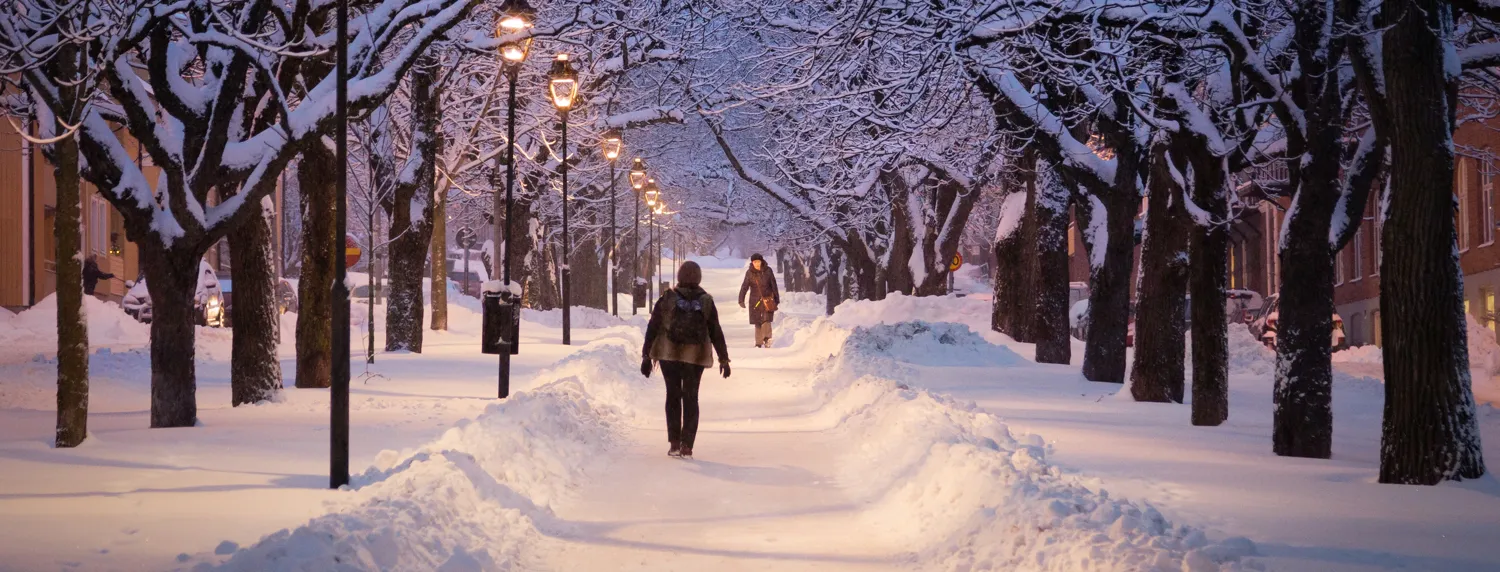 Streets in winter