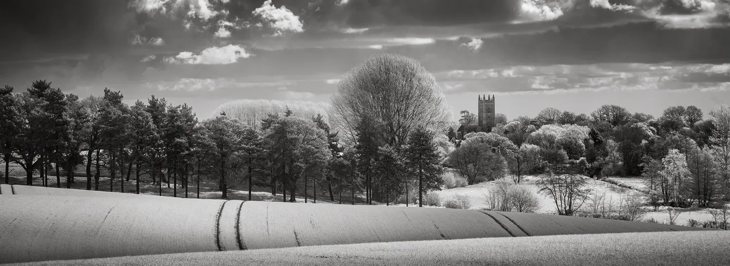 Black and white landscapes