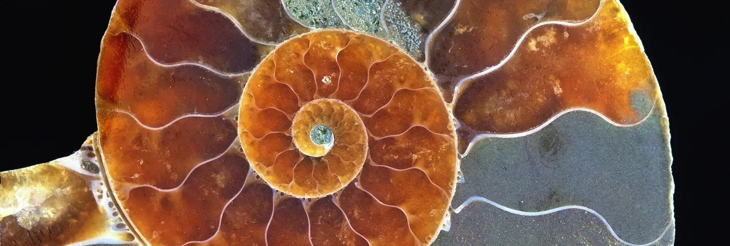 Macro patterns