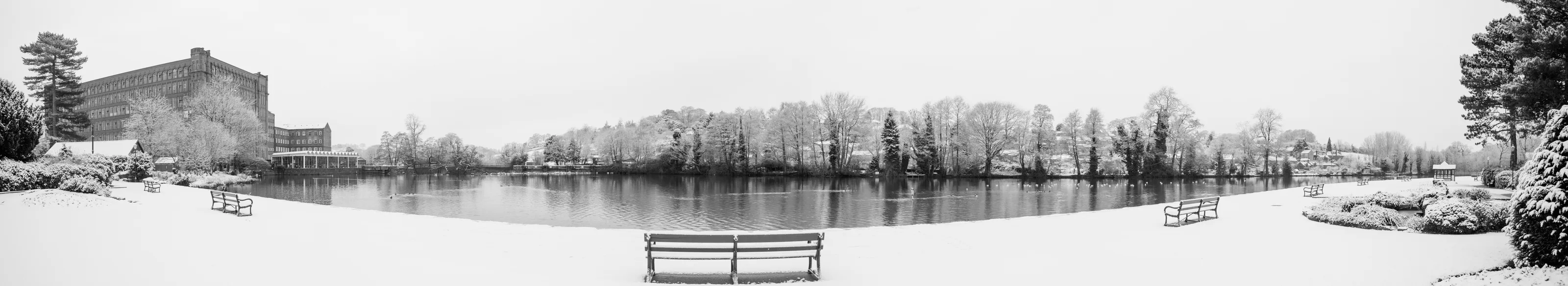 Snowscapes