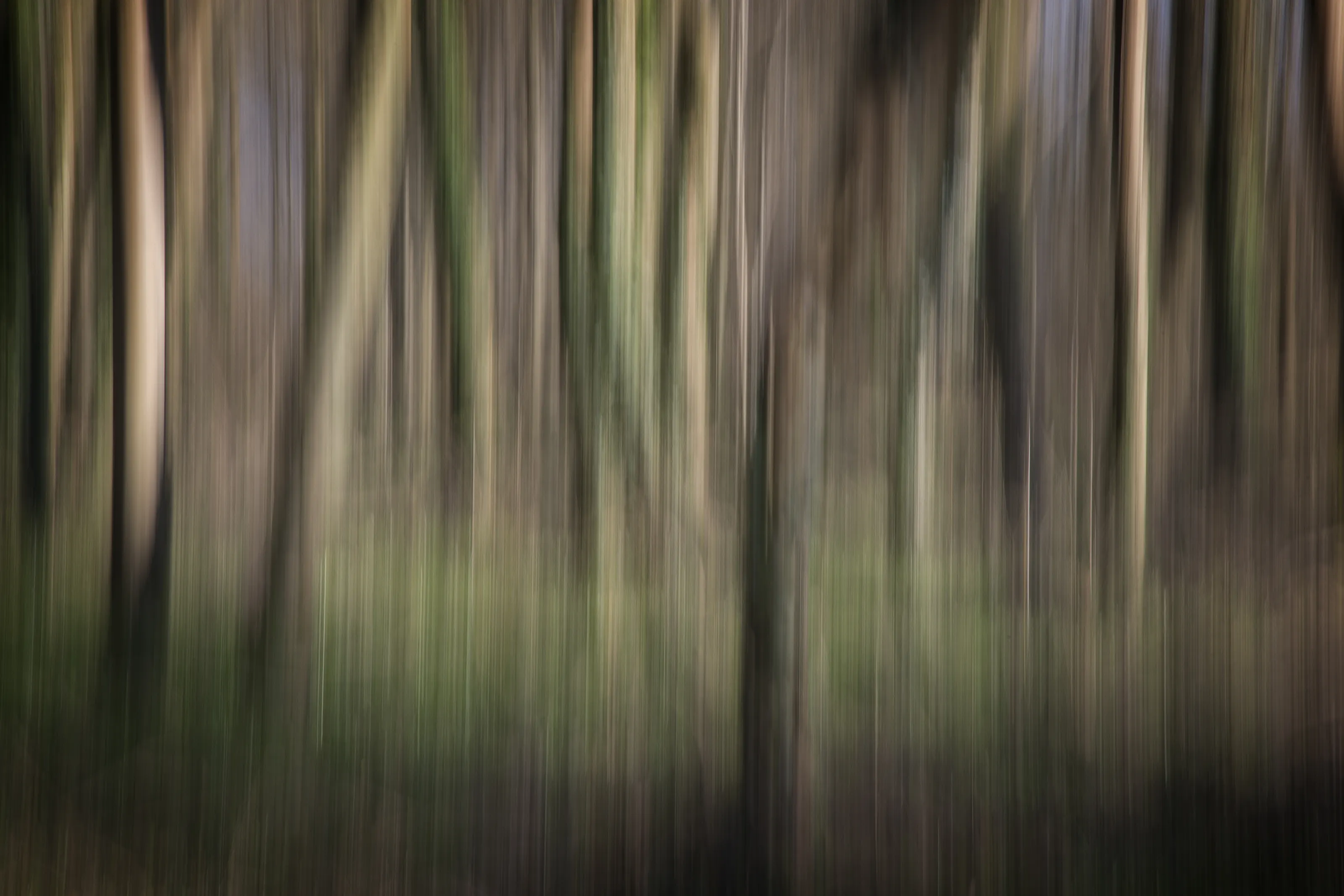Intentional Camera Movement