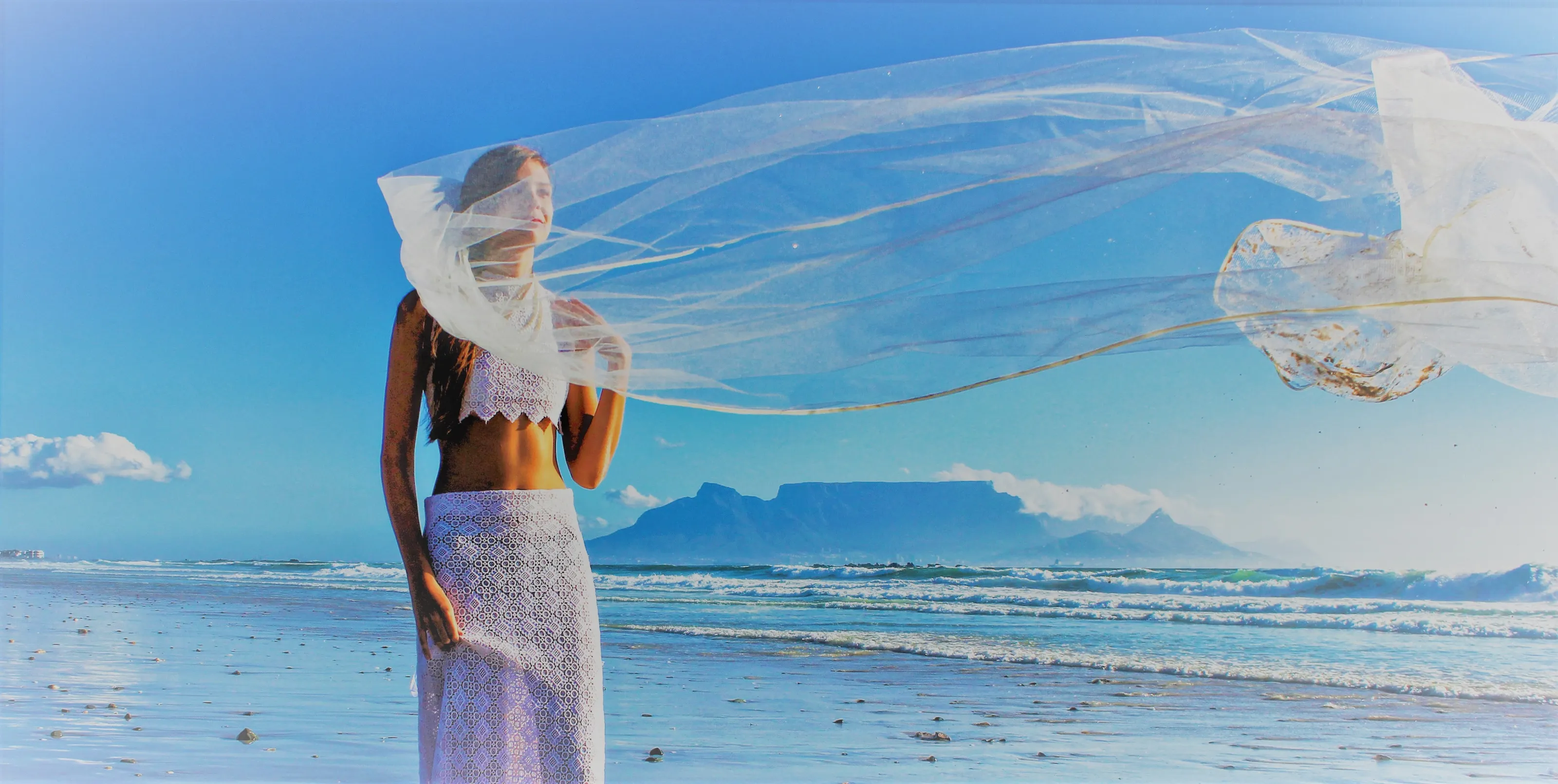Brides and Veils