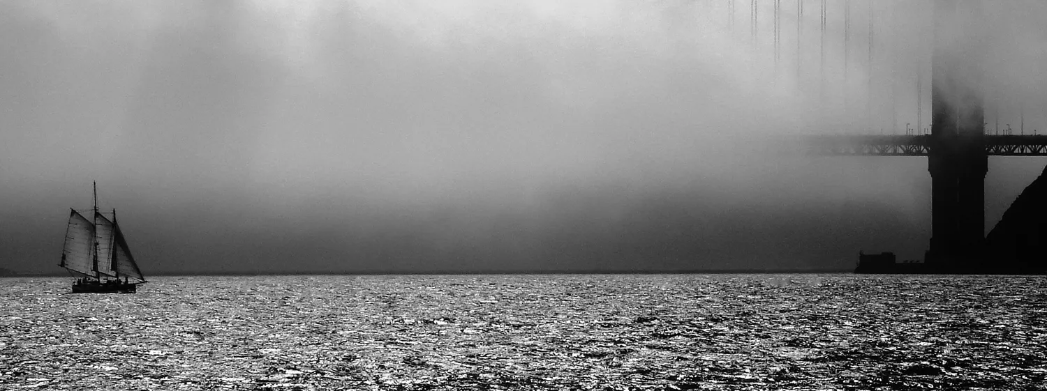 Life in monochrome